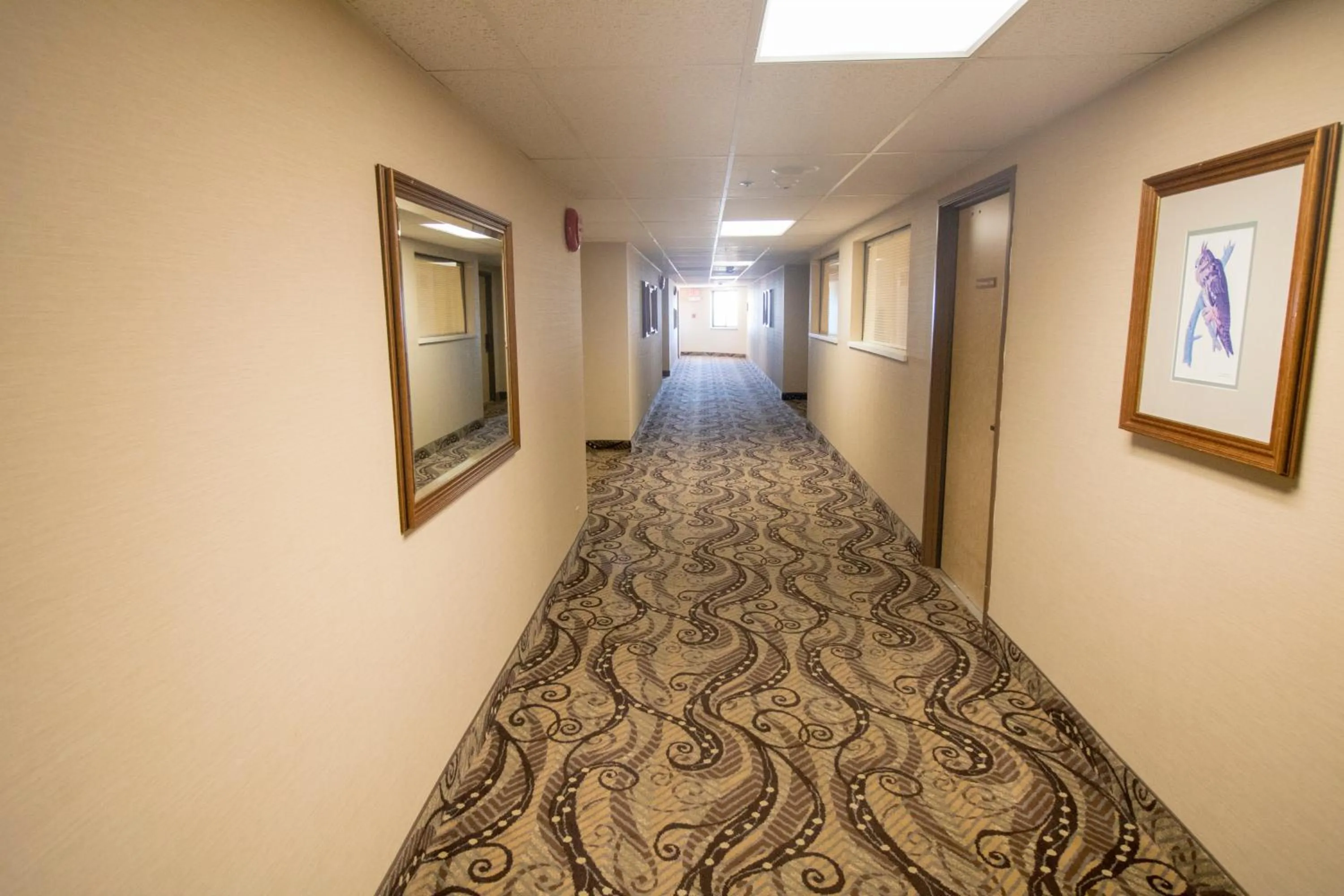 Property building in Hotel La Serena