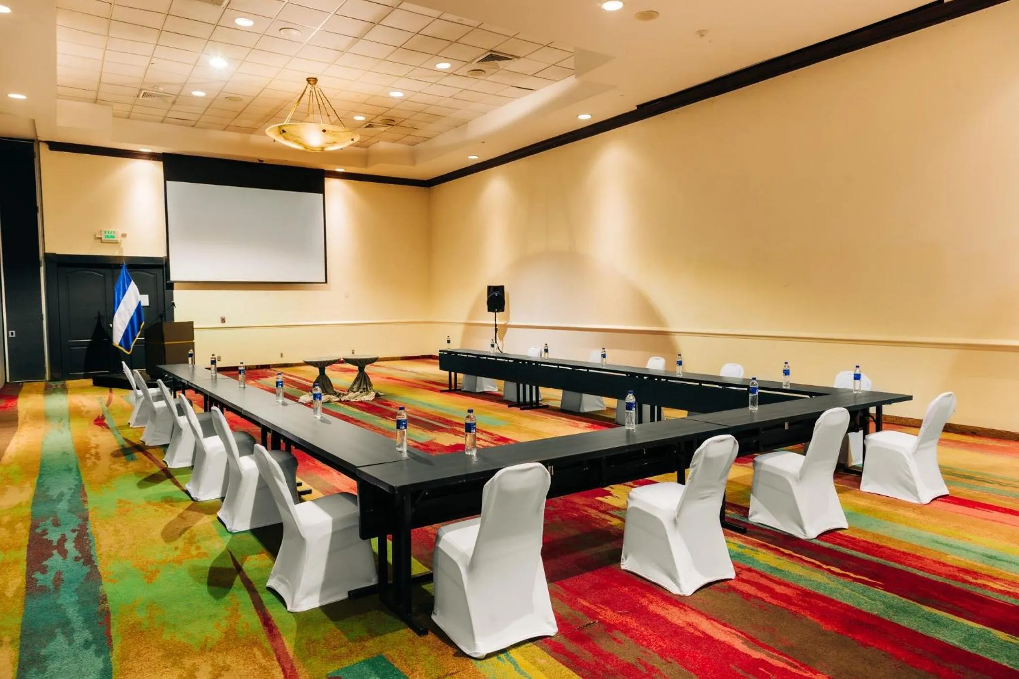 Meeting/conference room in Holiday Inn San Salvador by IHG