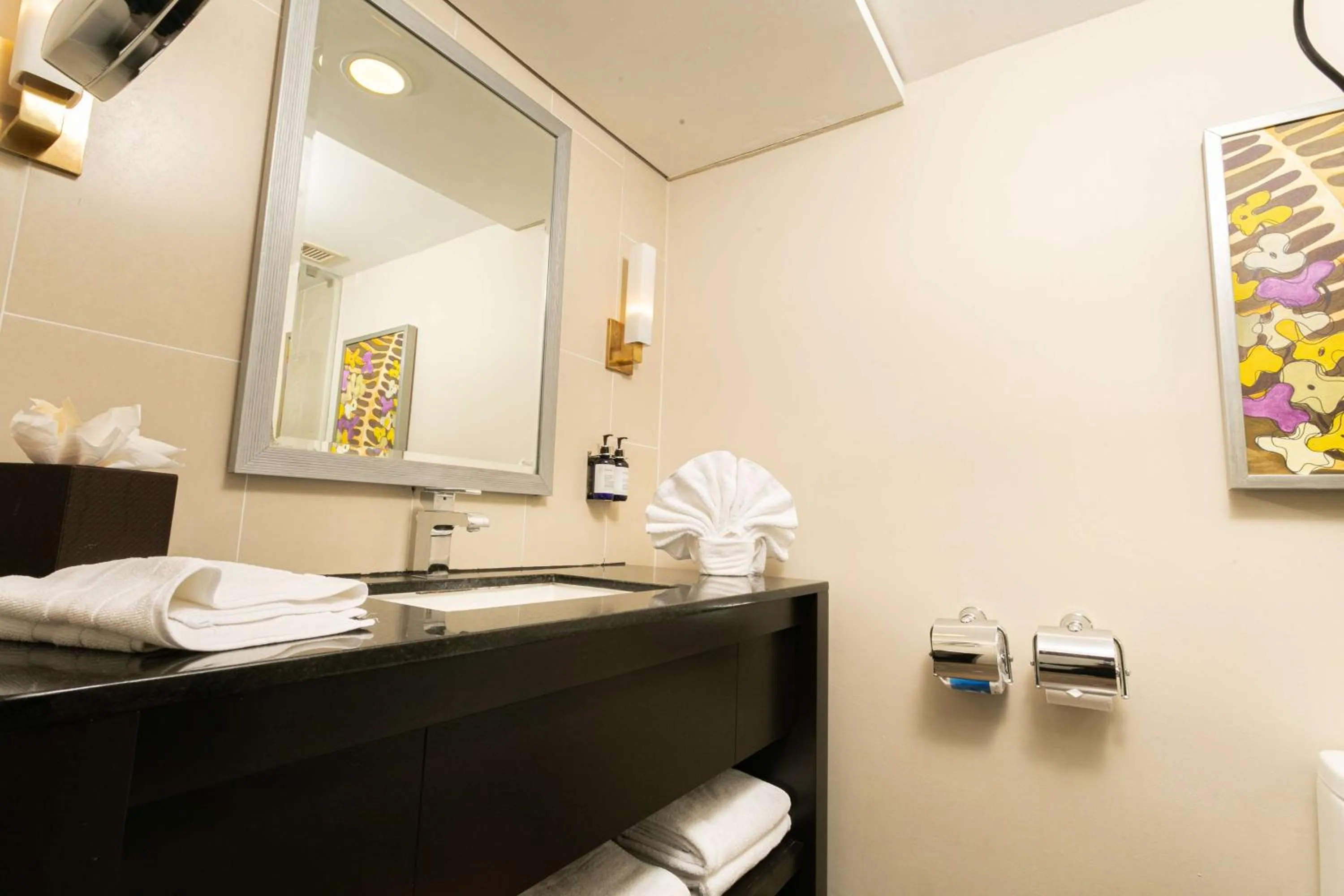 Bathroom in Hilton San Salvador