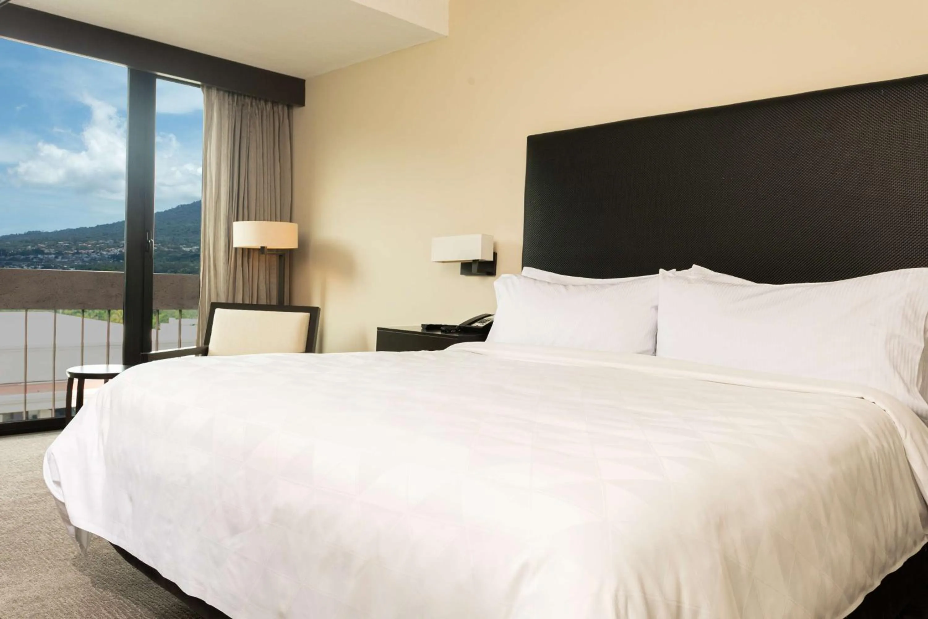 Bed in Hilton San Salvador