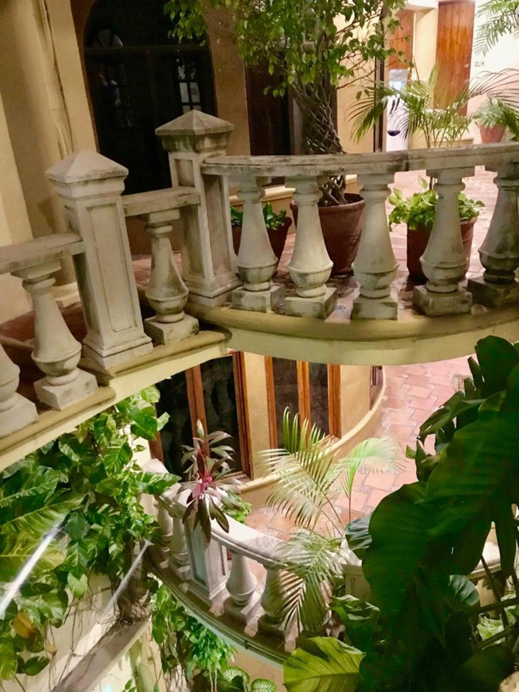 Area and facilities in Hotel Cielo