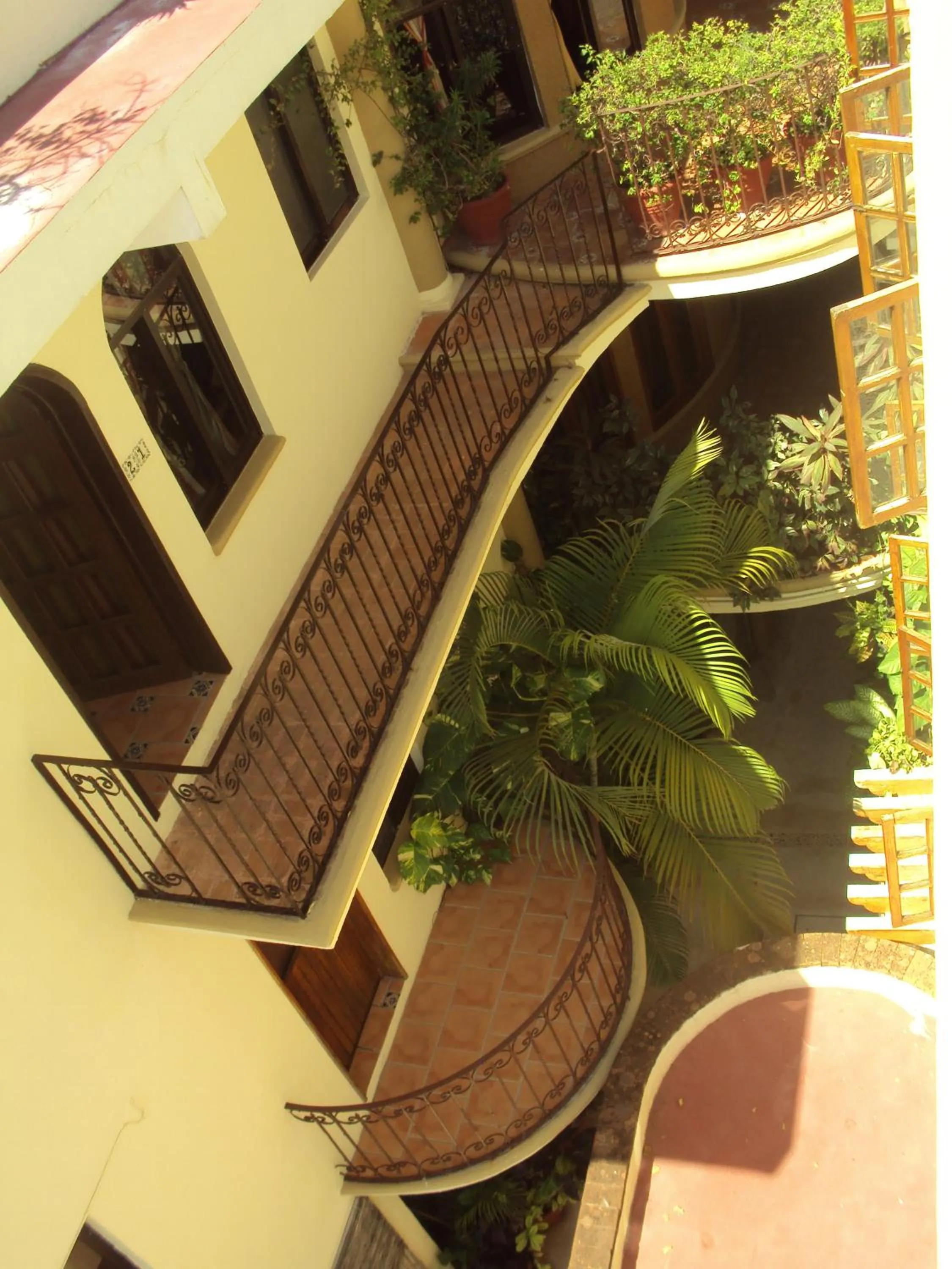 Garden view in Hotel Cielo