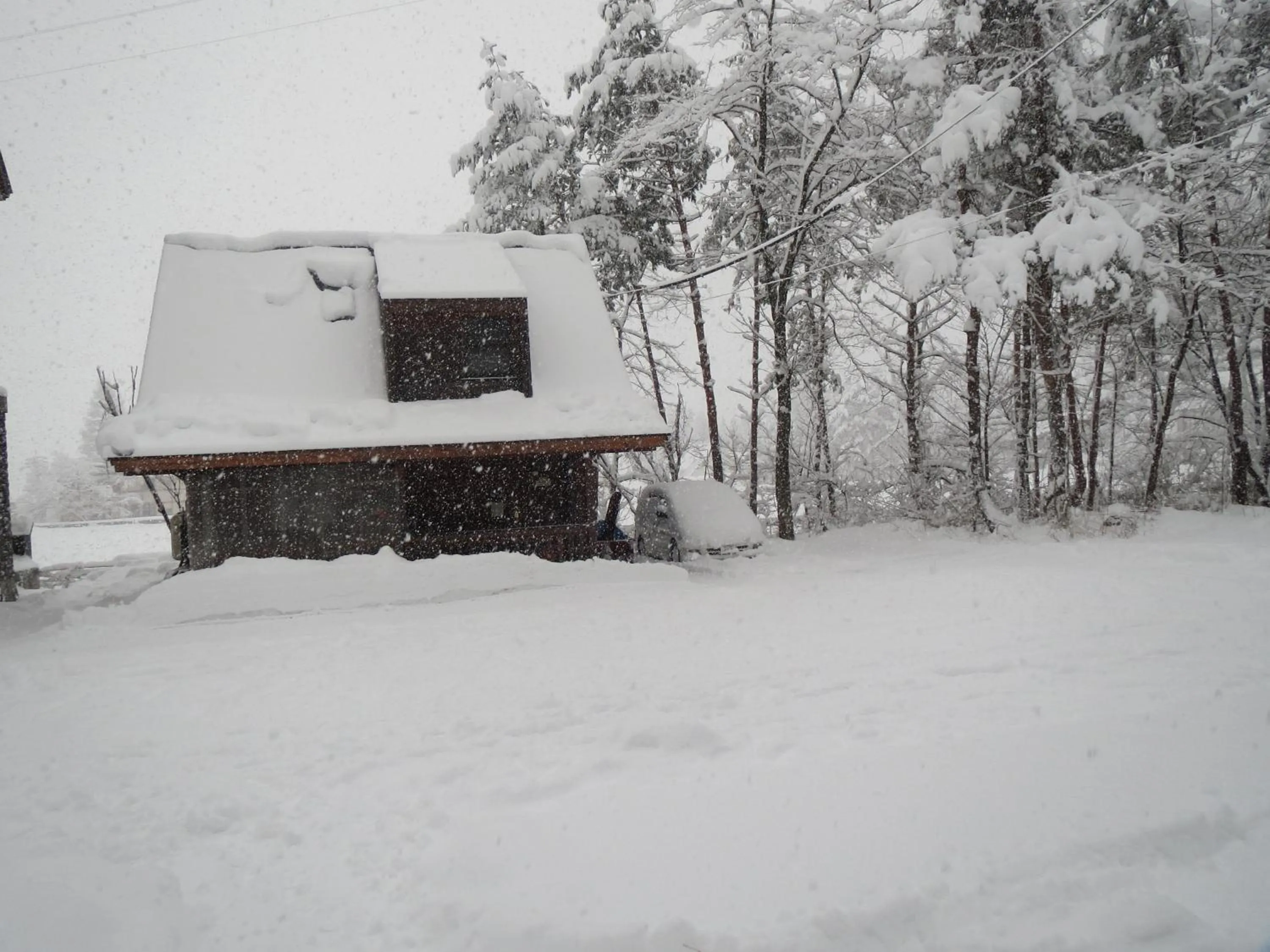 Area and facilities in Pension Marionette