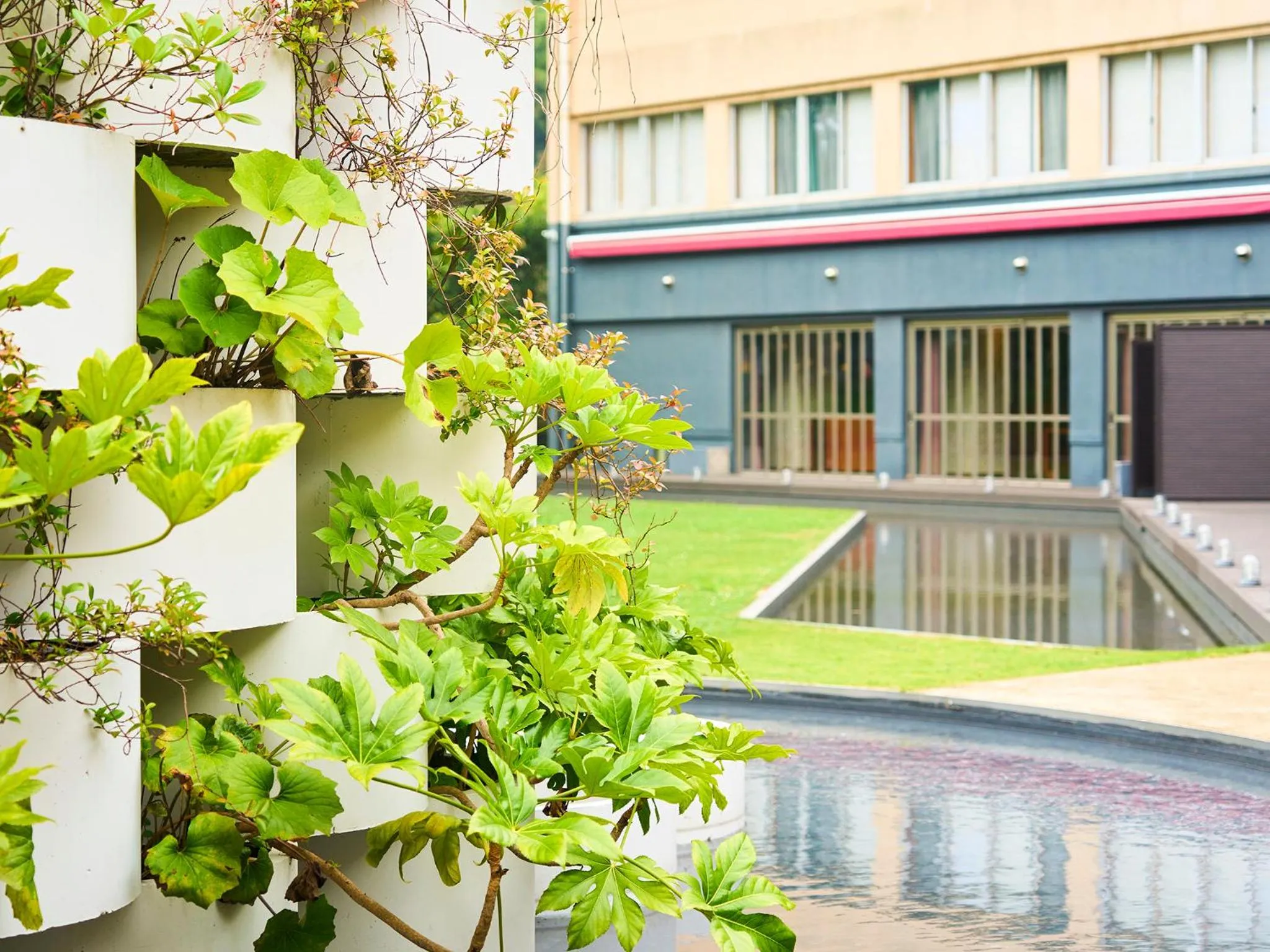 Area and facilities in Hotel Flags Kuju Kusima