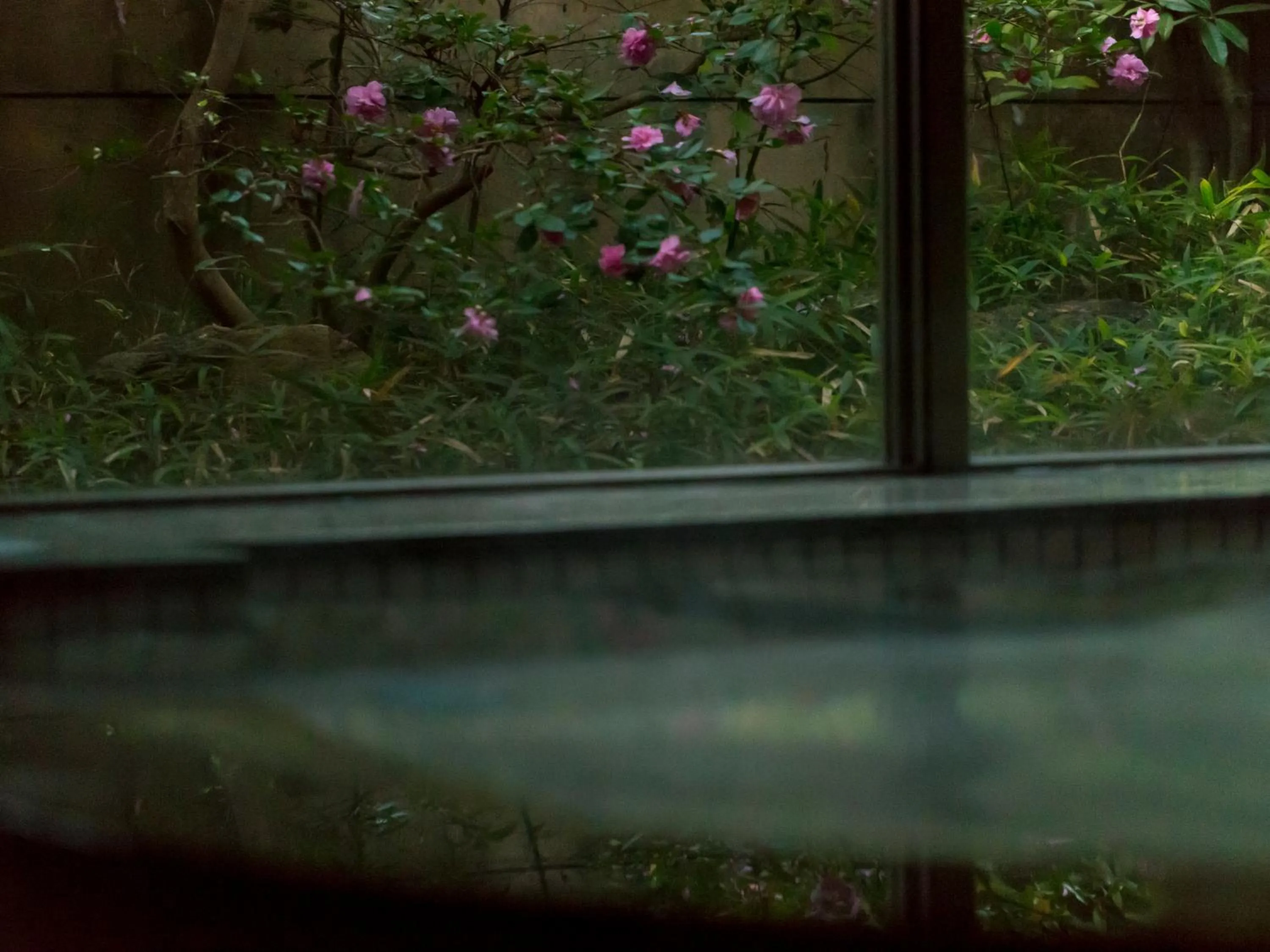 Hot Spring Bath in Hotel Flags Kuju Kusima