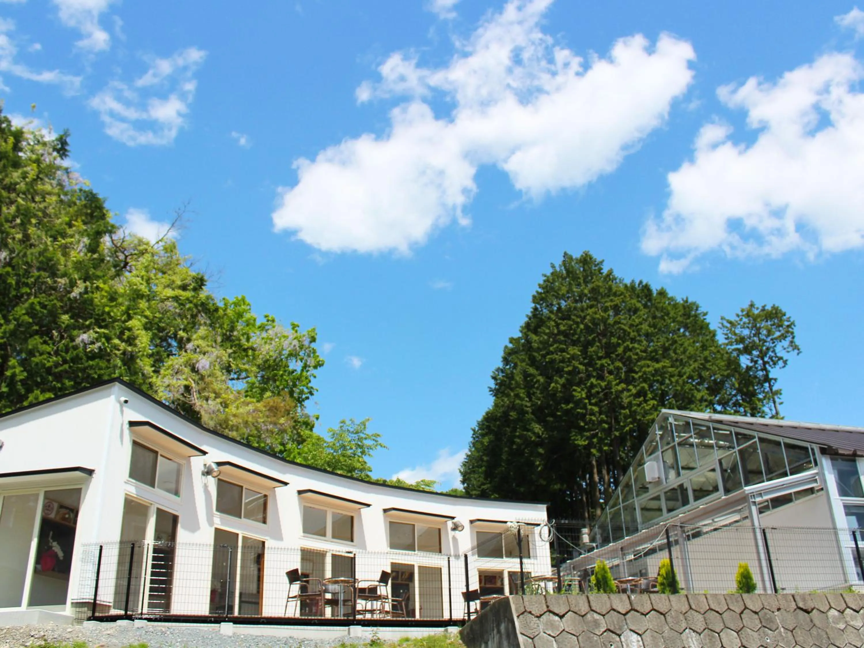 Restaurant/places to eat in Hotel Casual Euro