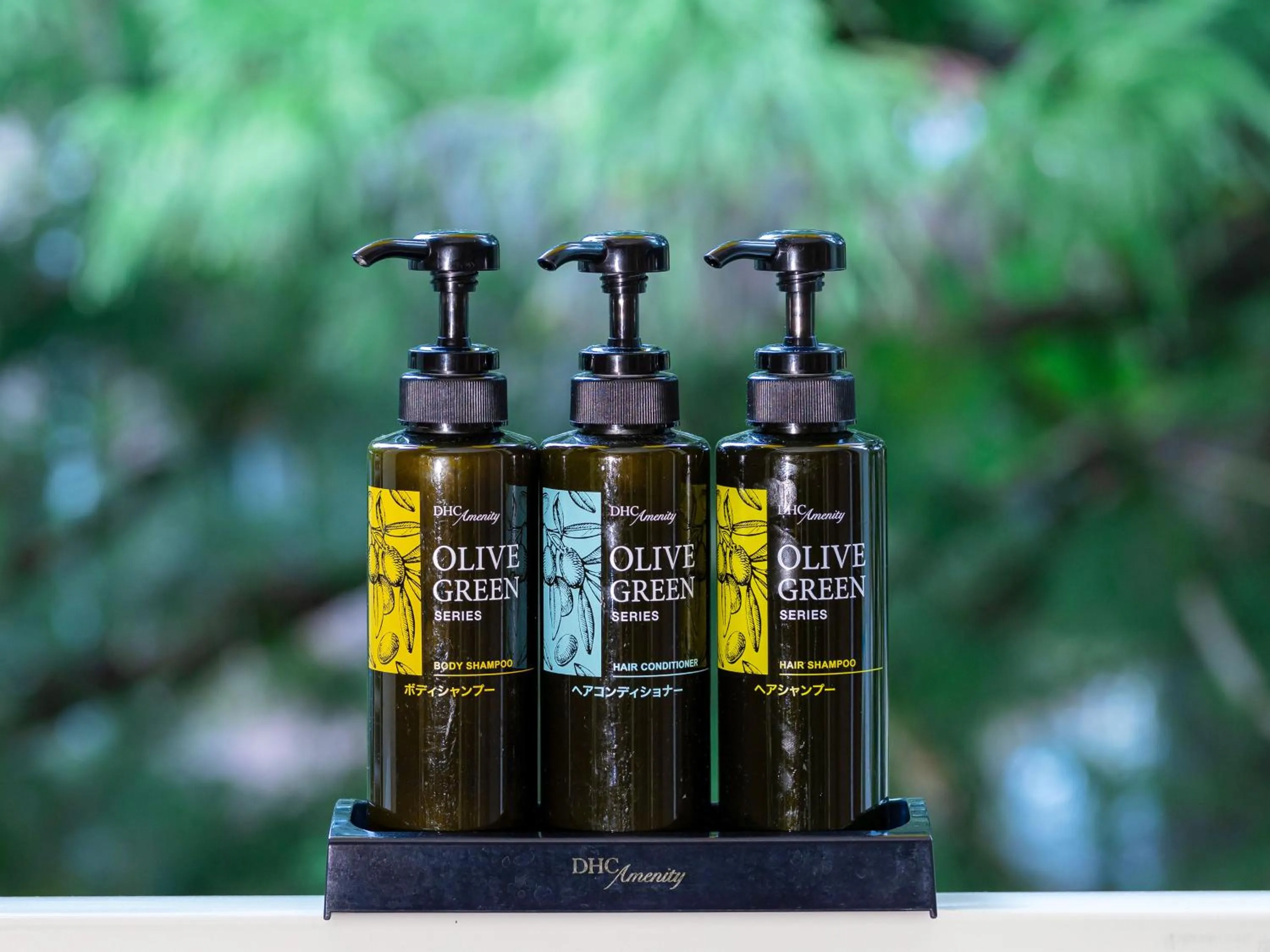 Photo of the whole room in Hotel Casual Euro