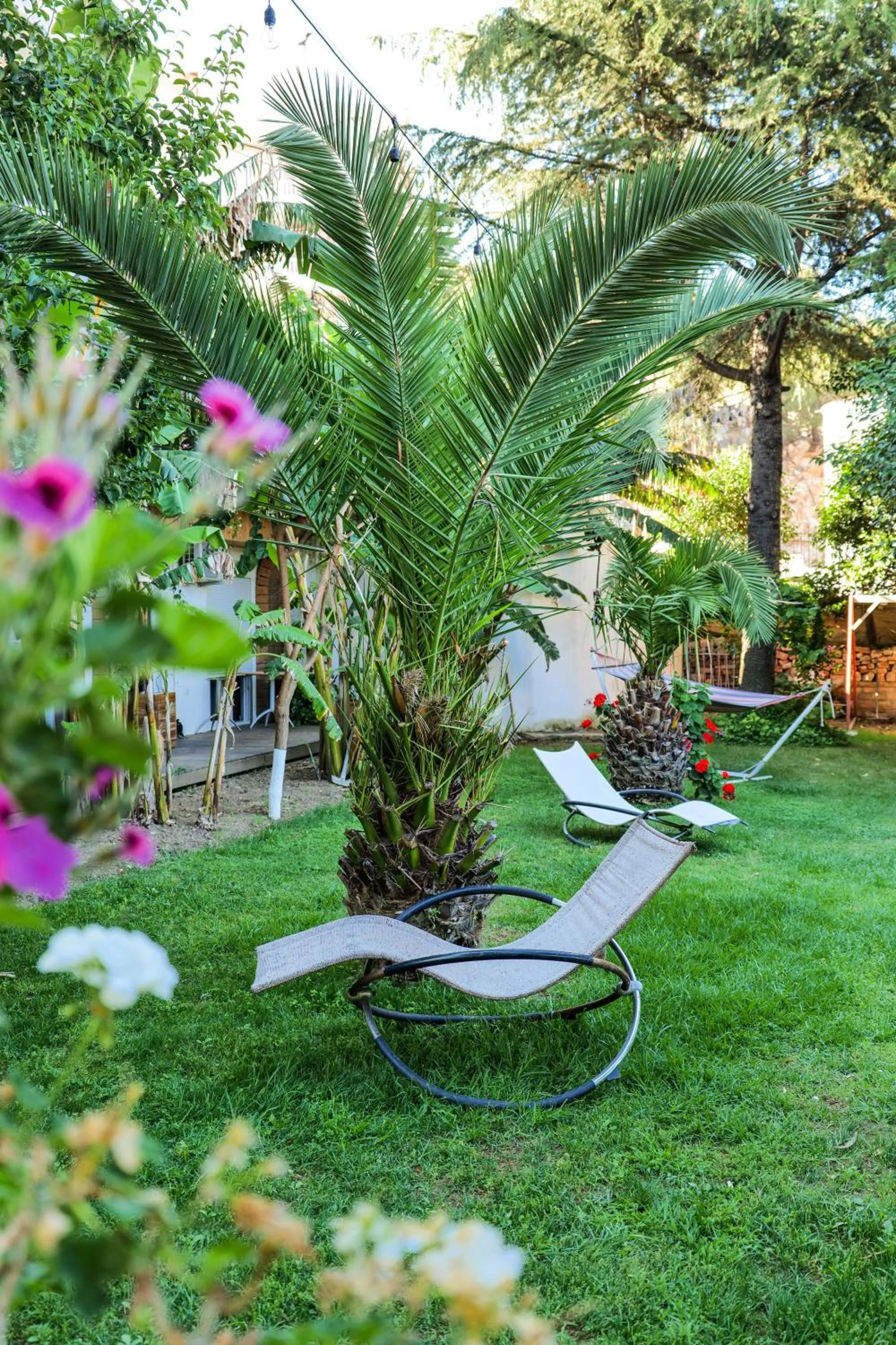 Garden in Villa Green Garden