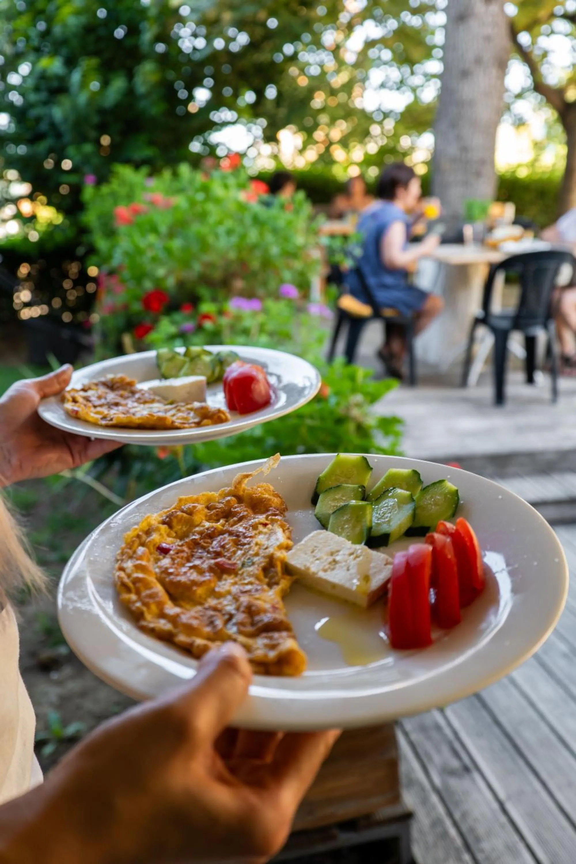 Food and drinks in Villa Green Garden