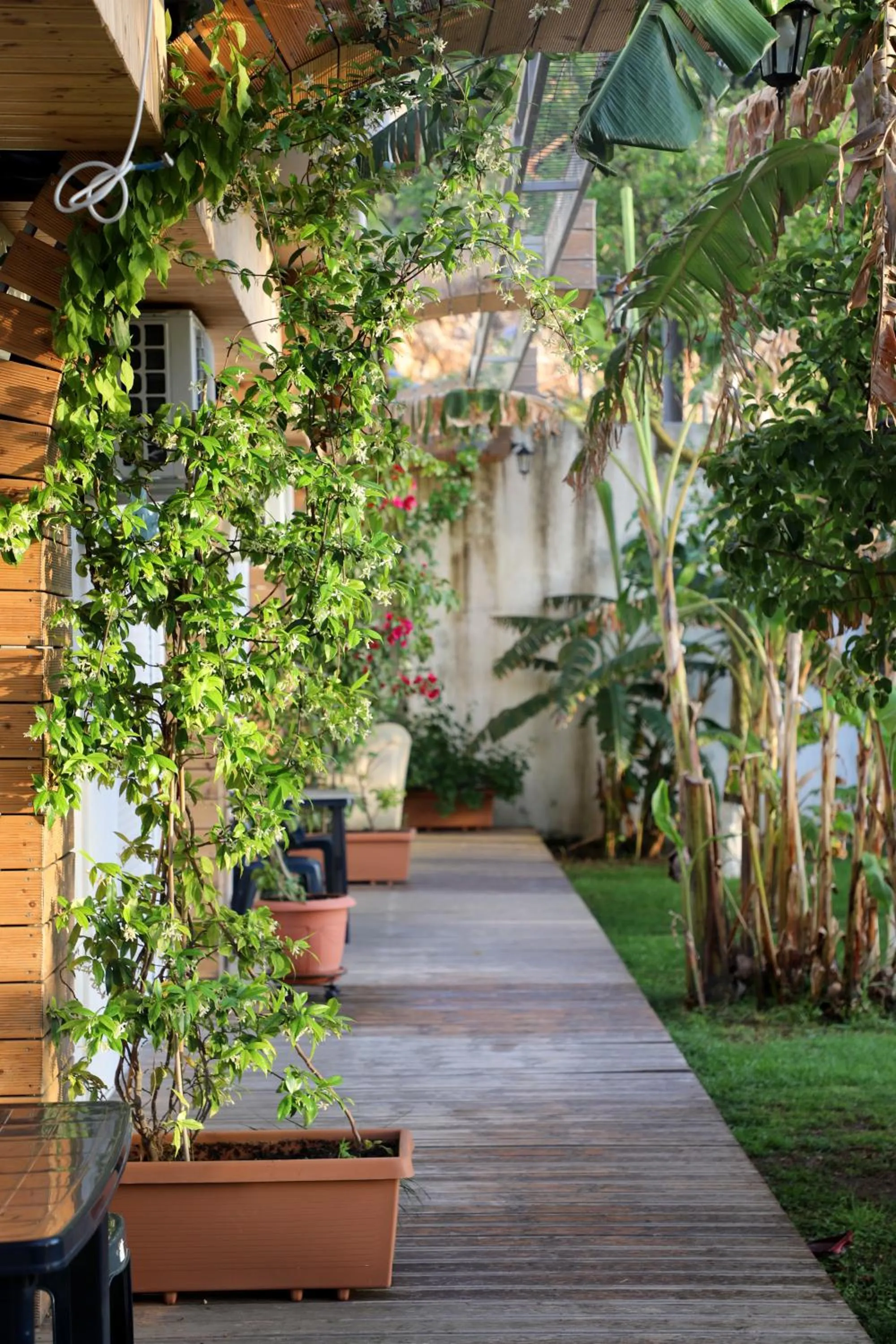 Garden in Villa Green Garden