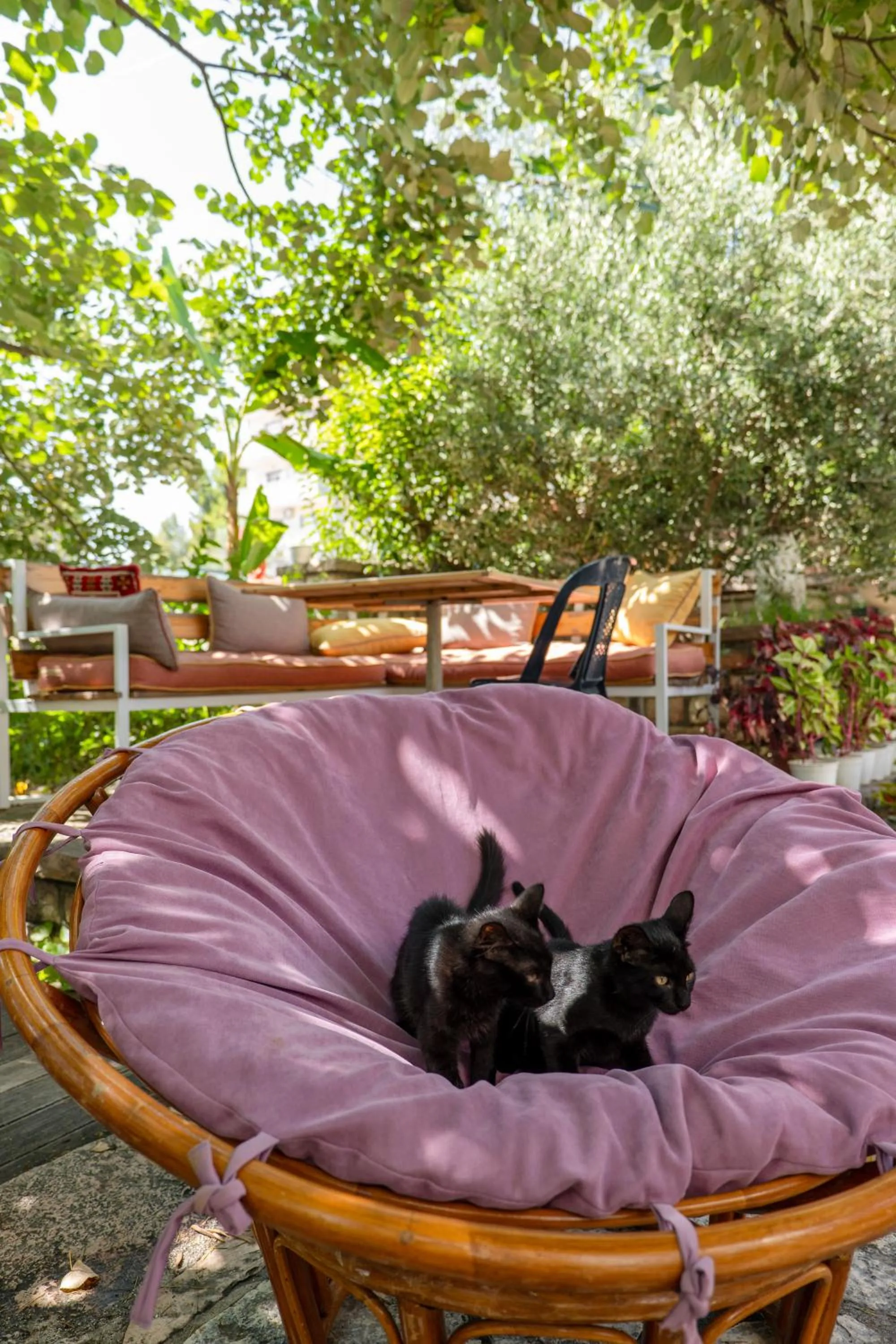 Day in Villa Green Garden