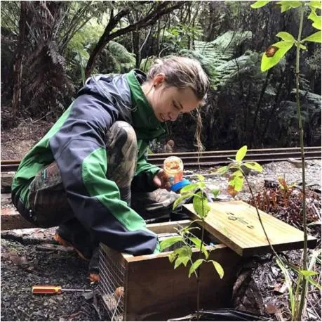 Tasman Holiday Parks - Coromandel