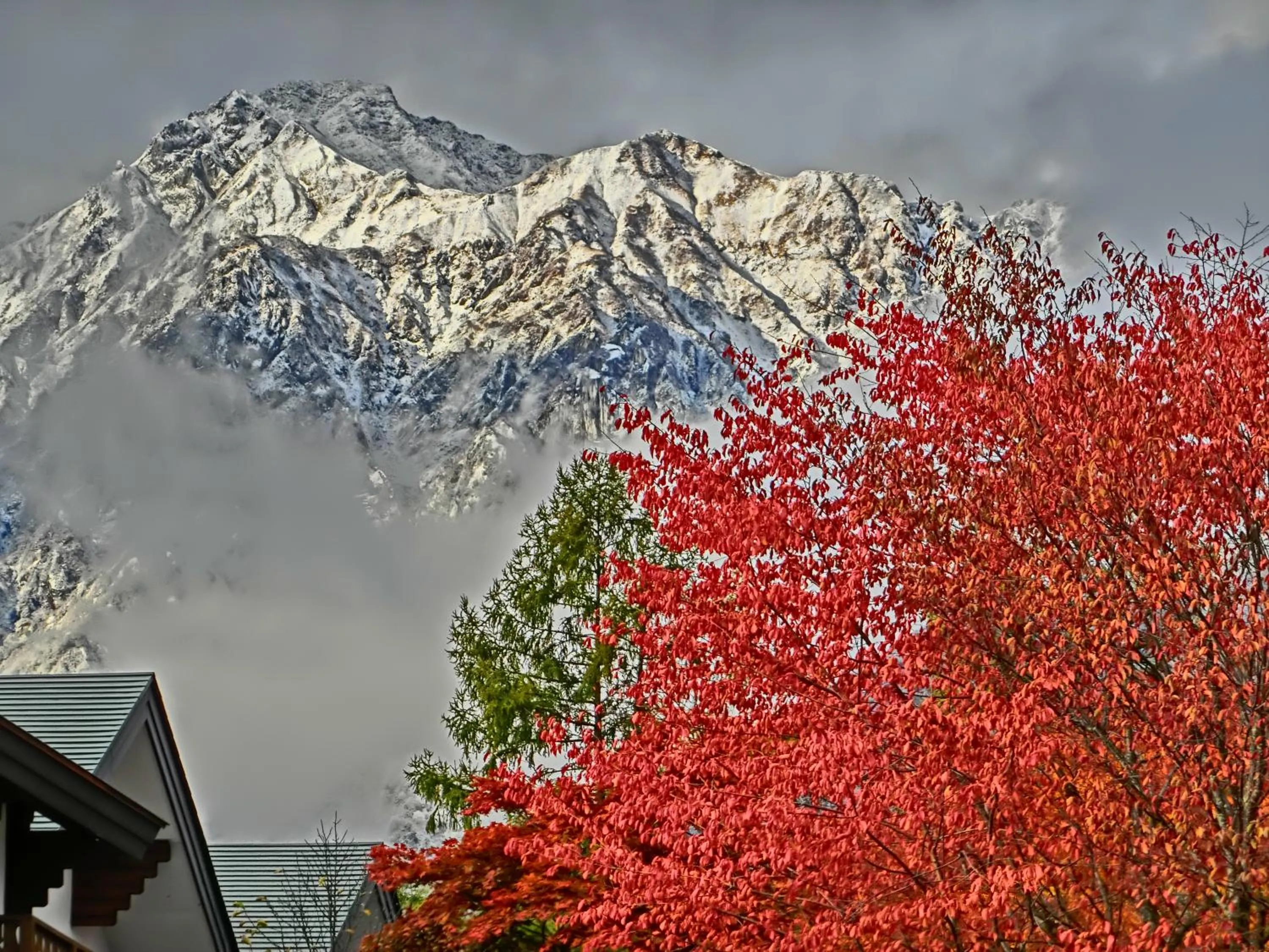 Natural landscape in White Horse Hotel
