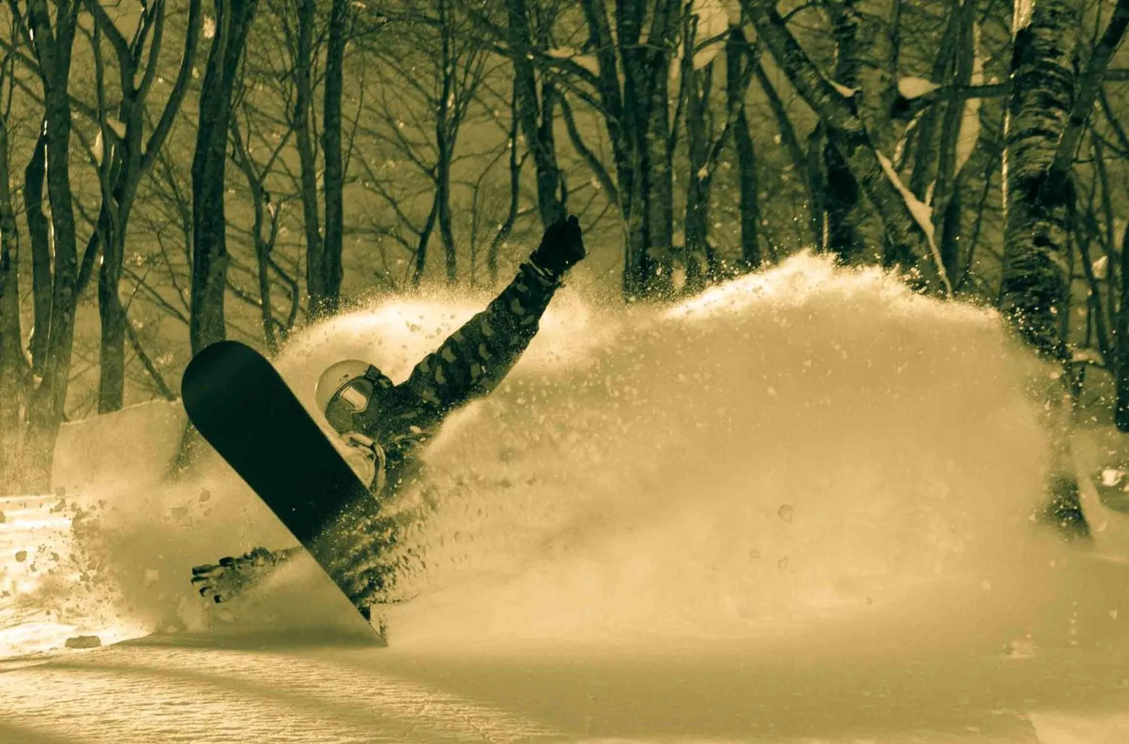 Winter in White Horse Hotel