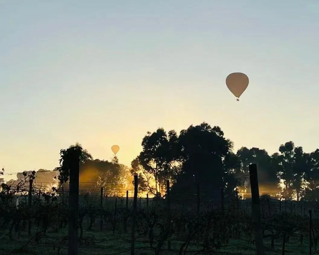 Patio in De'Vine Escape