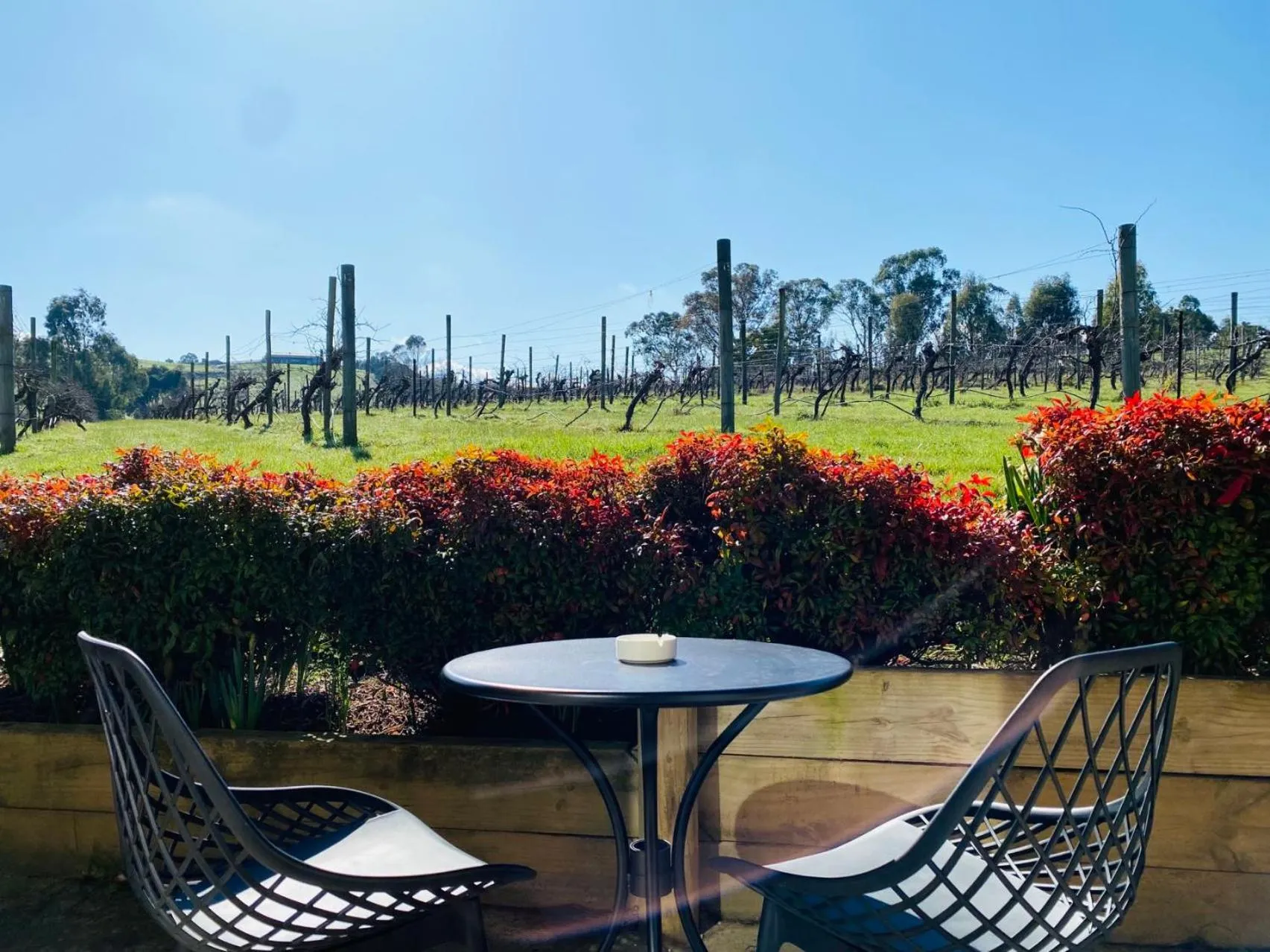 Patio in De'Vine Escape