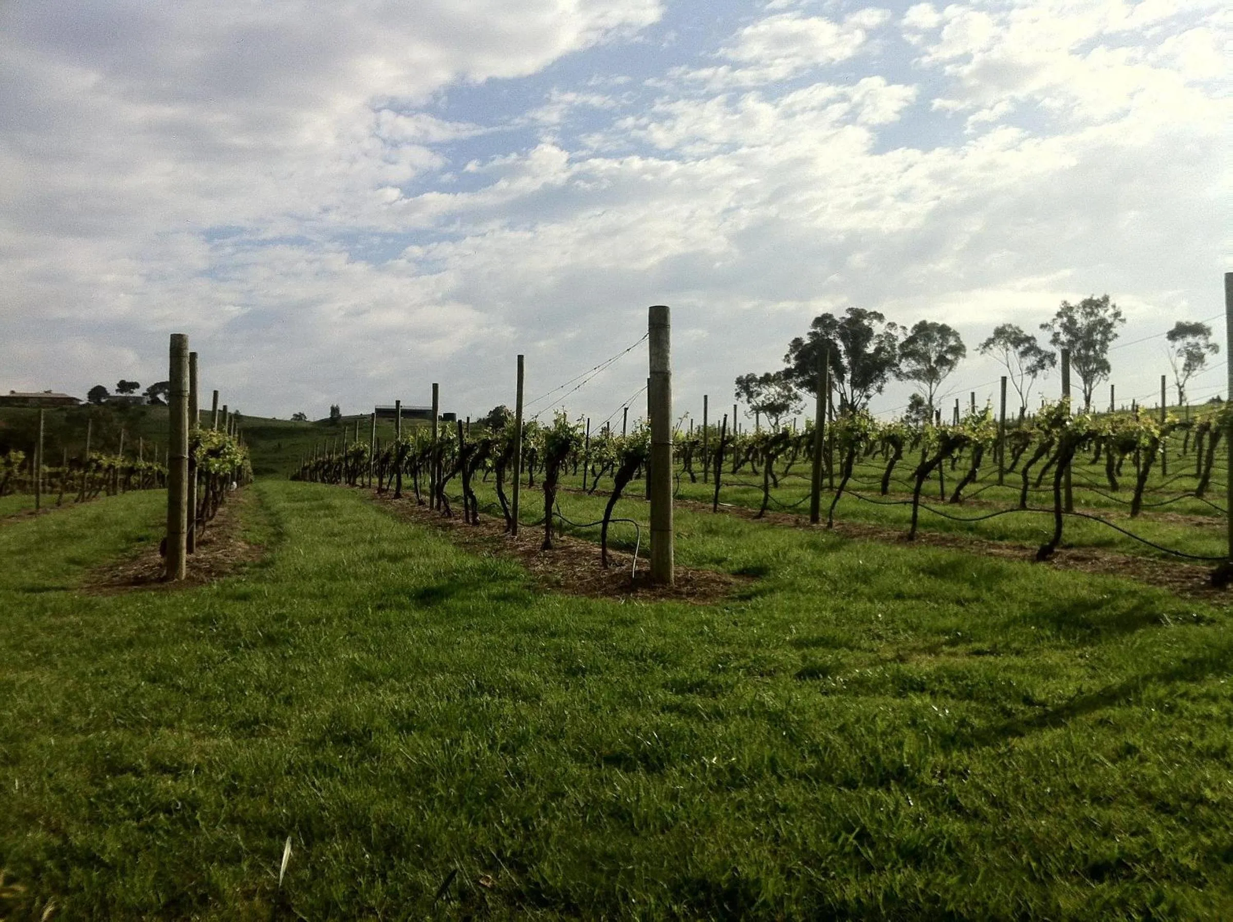 Spring in De'Vine Escape