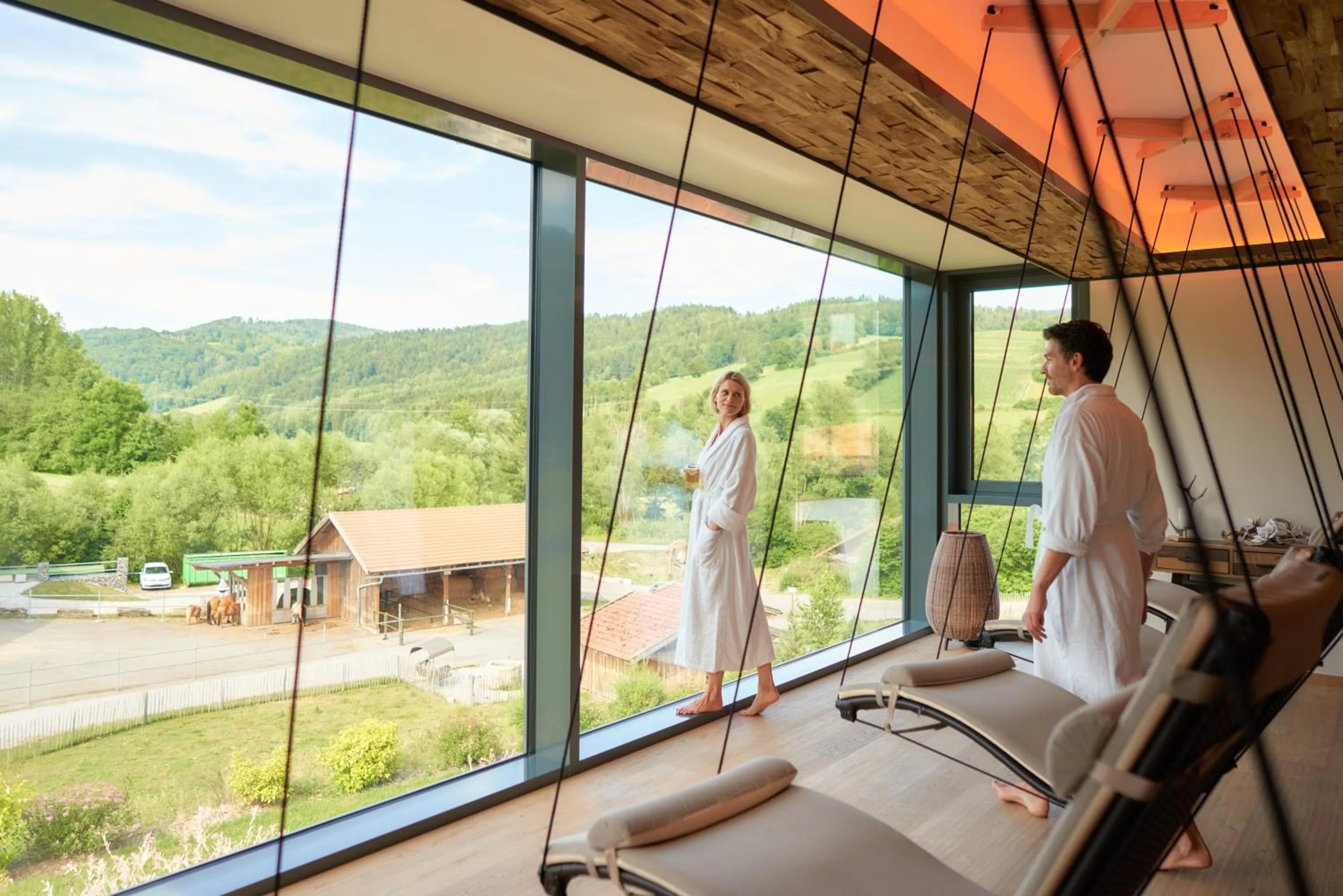 Spa and wellness centre/facilities in Familotel Schreinerhof