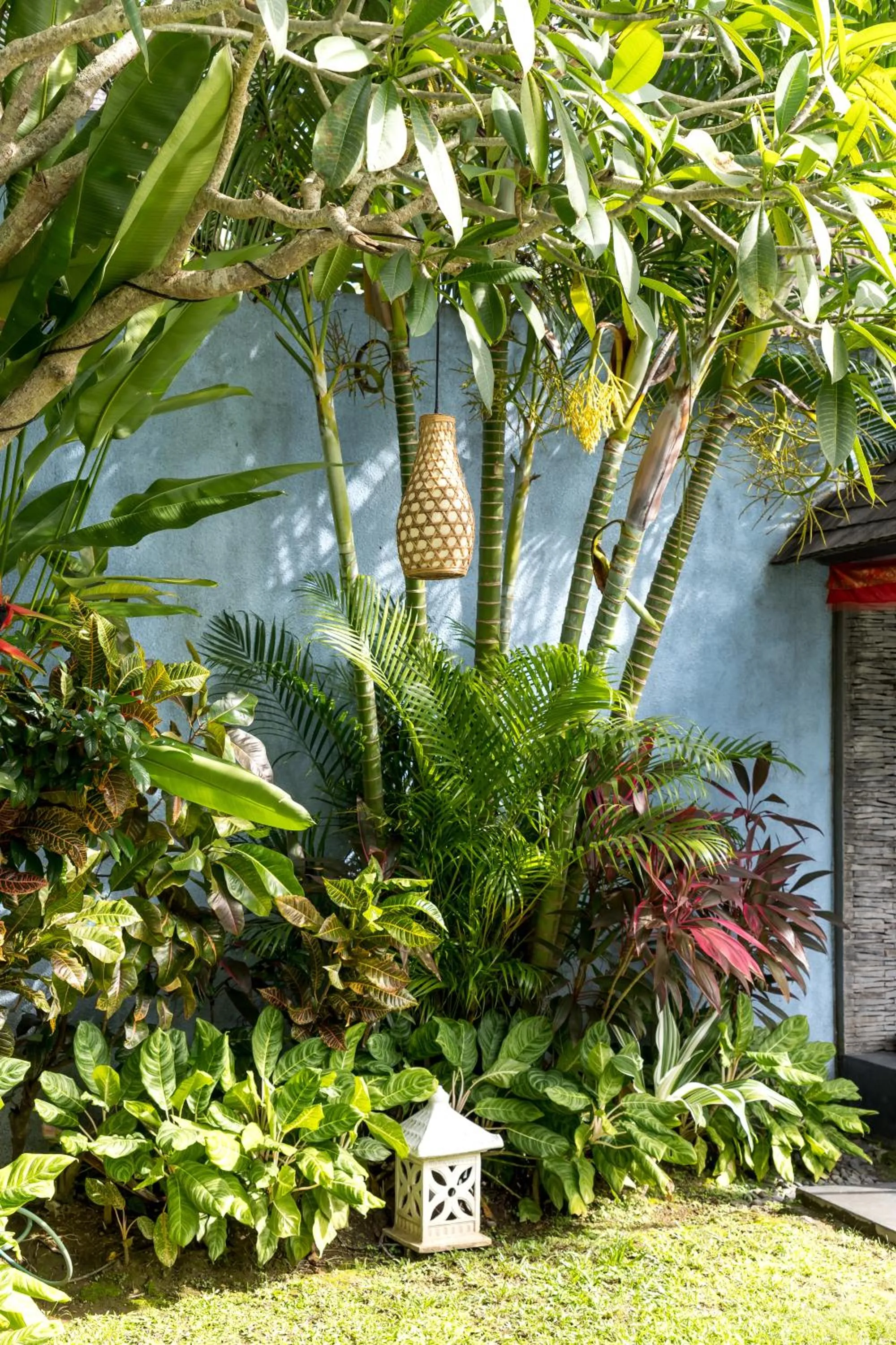 Natural landscape in Jabunami Estate