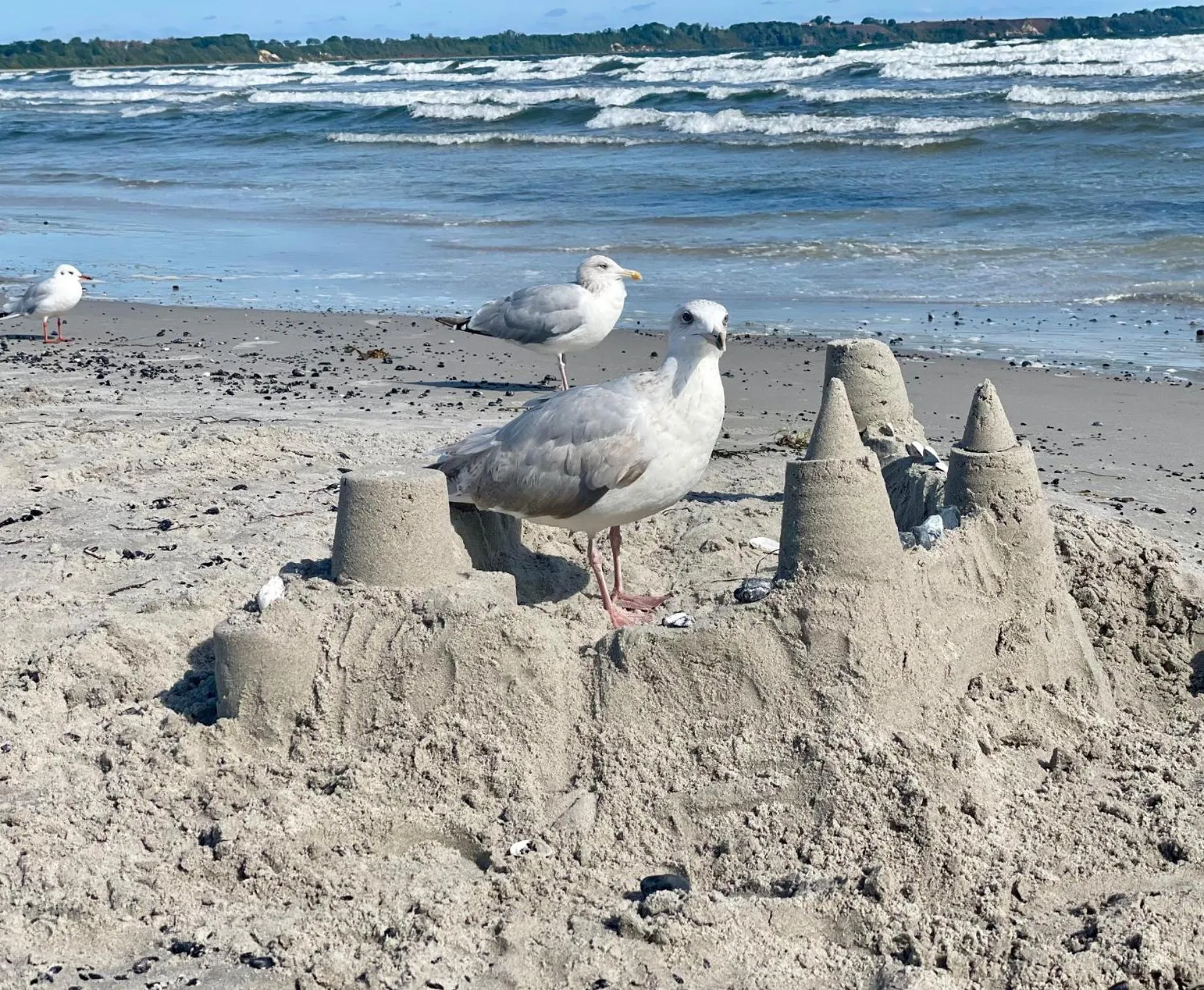 Beach in Ferienanlage Süderhof