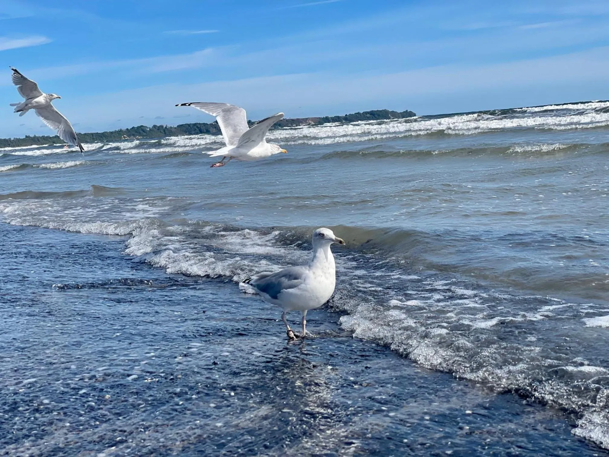 Beach in Ferienanlage Süderhof