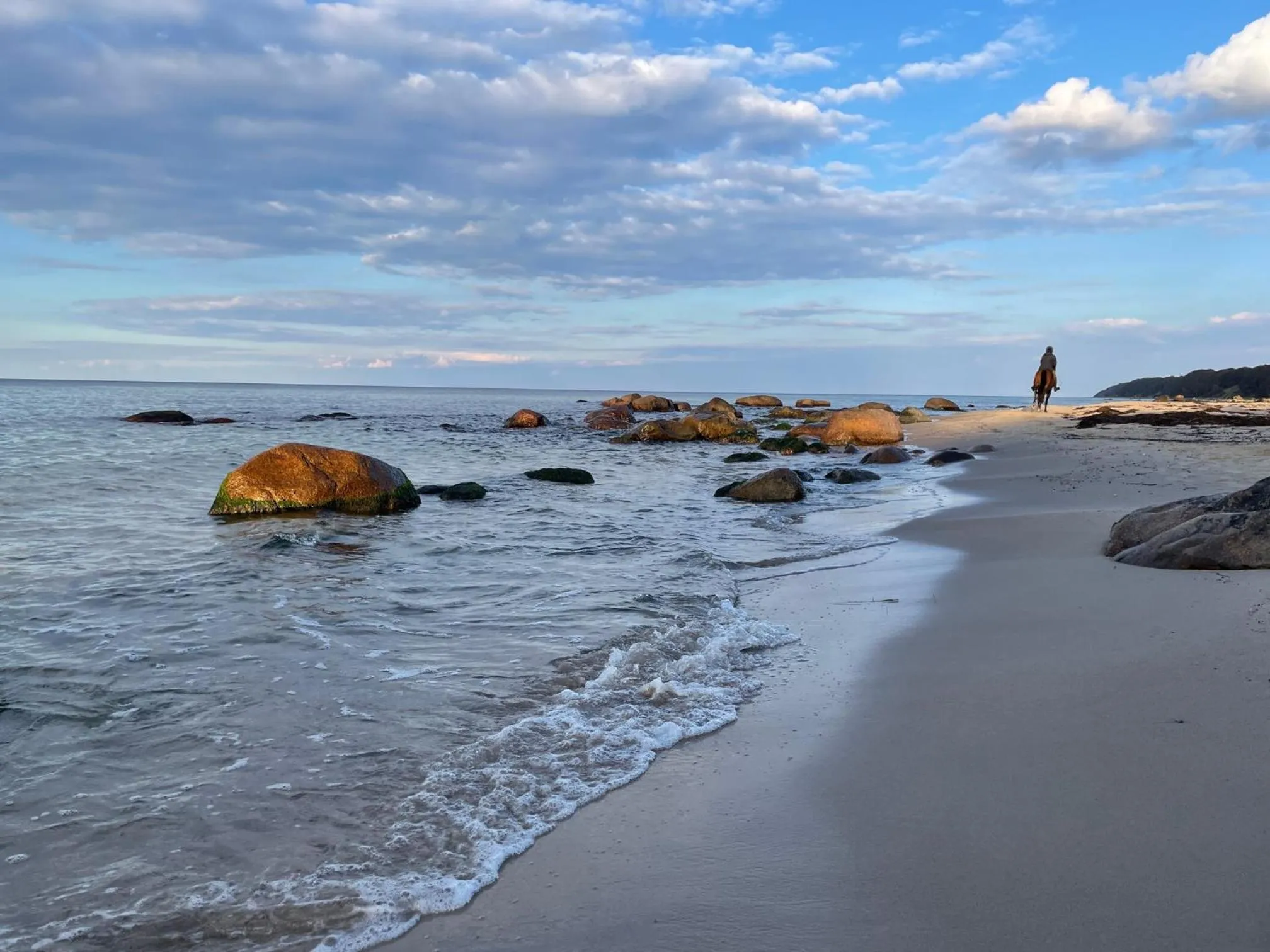 Sea view in Ferienanlage Süderhof