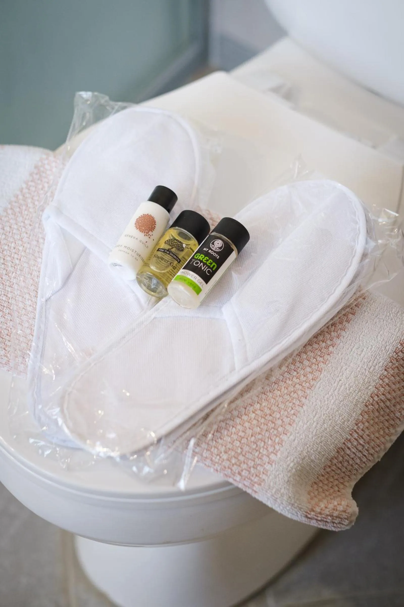 Bathroom in Sourediko