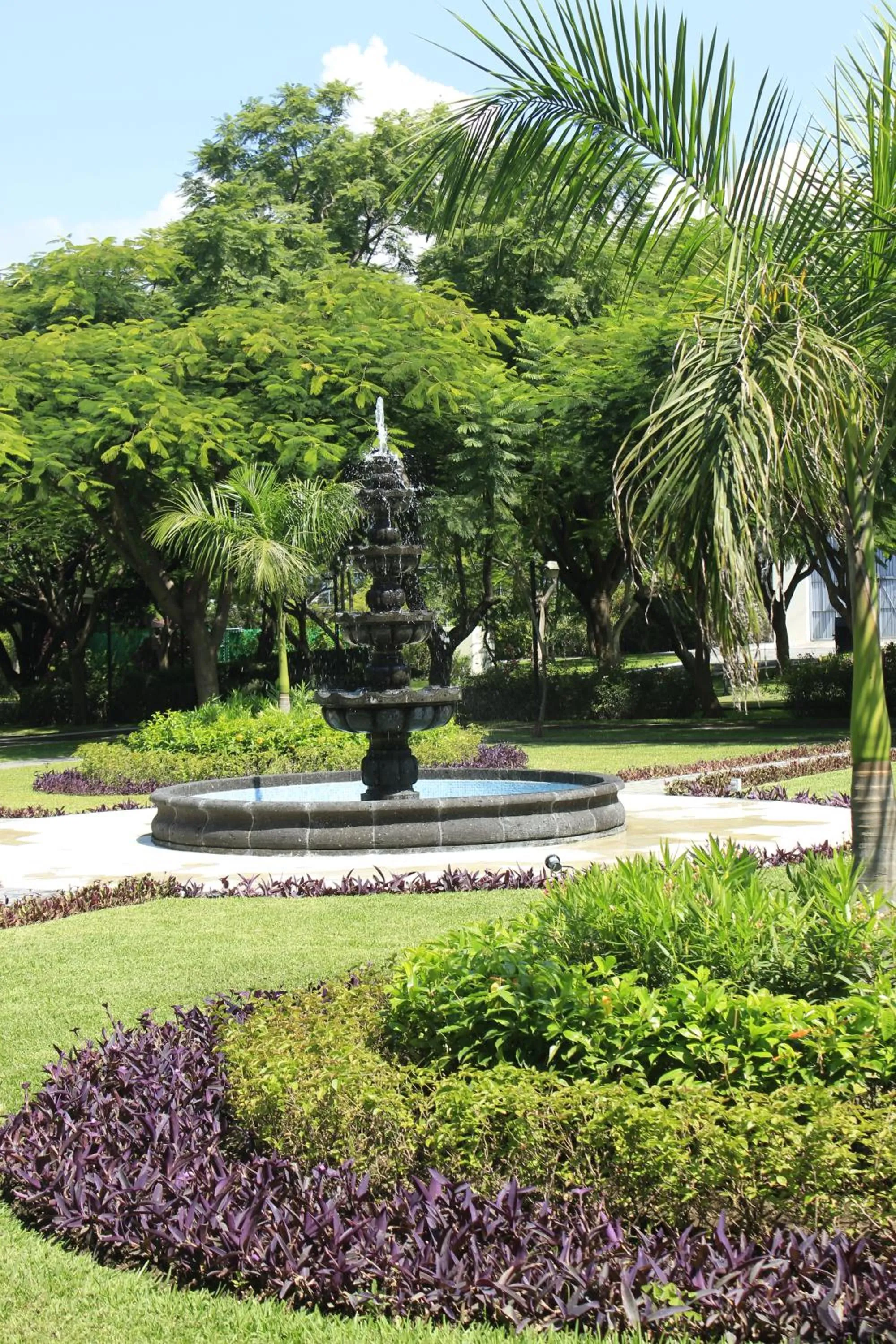 Garden view in The Lorian Club