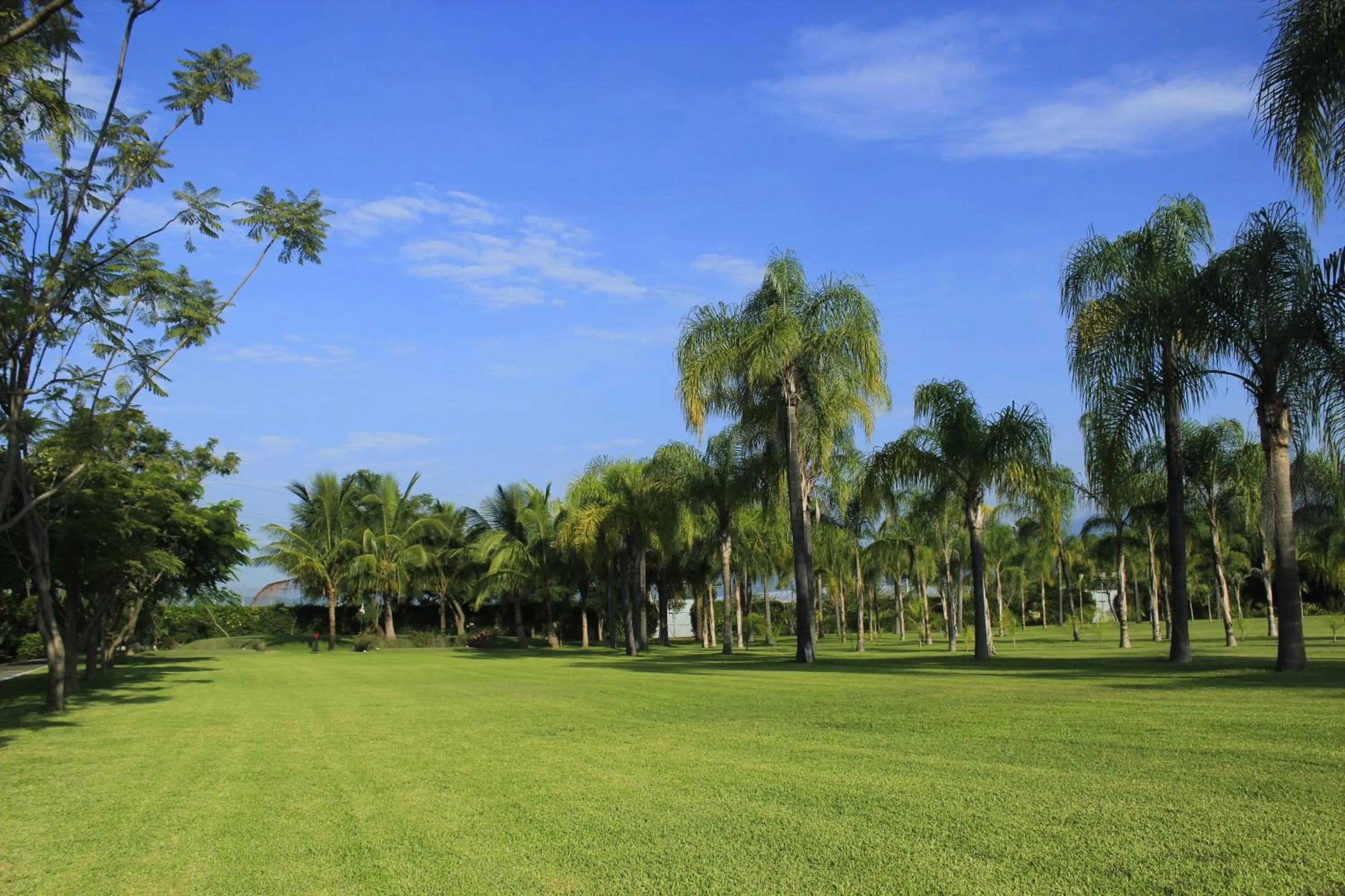 Golfcourse in The Lorian Club