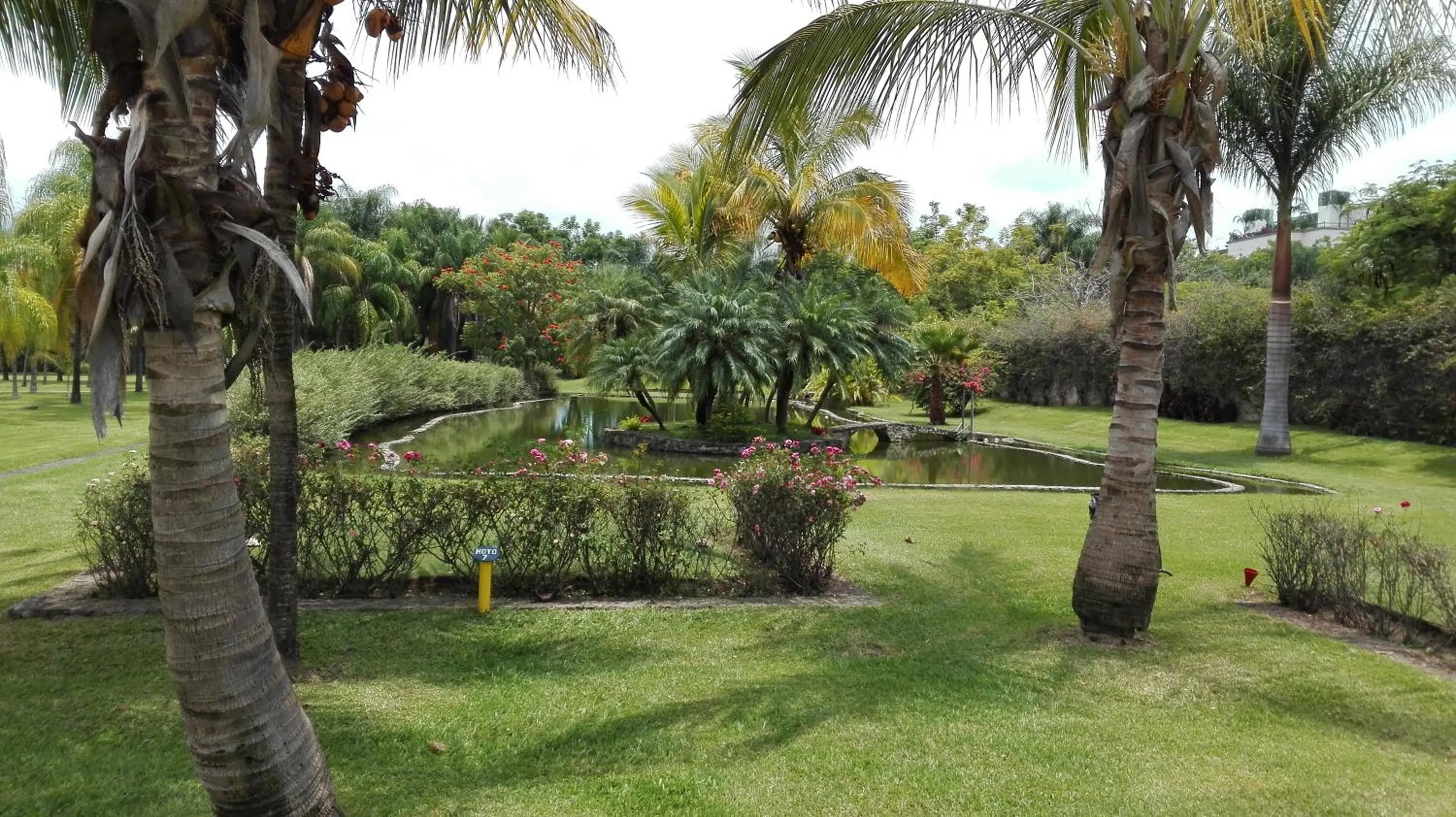 Garden view in The Lorian Club