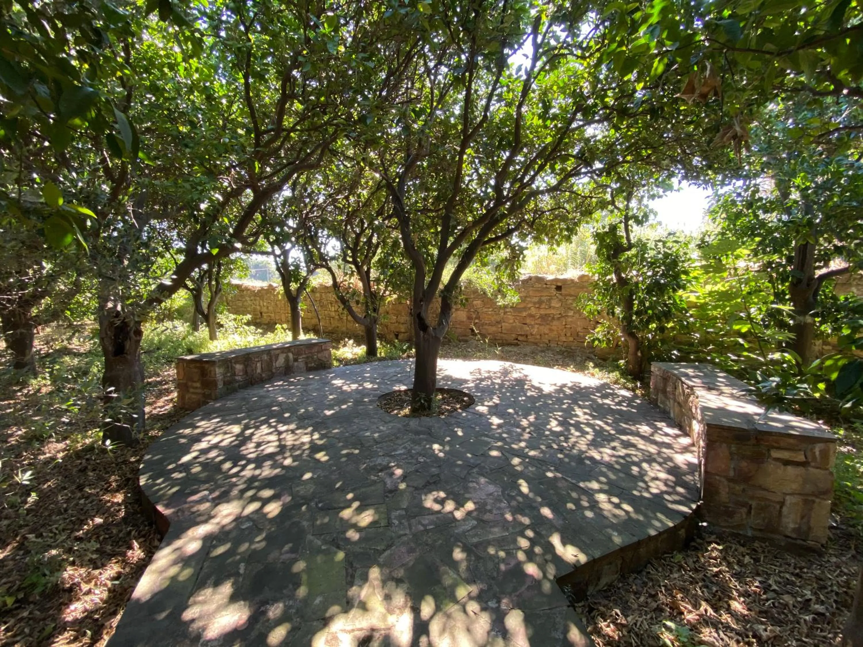 Garden in Archontiko Riziko