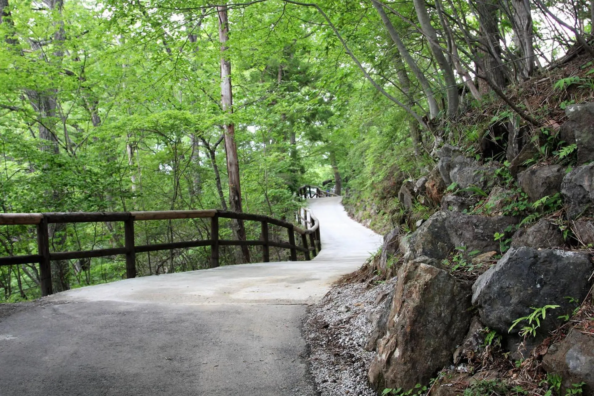 On site in Shomarutoge Garden House