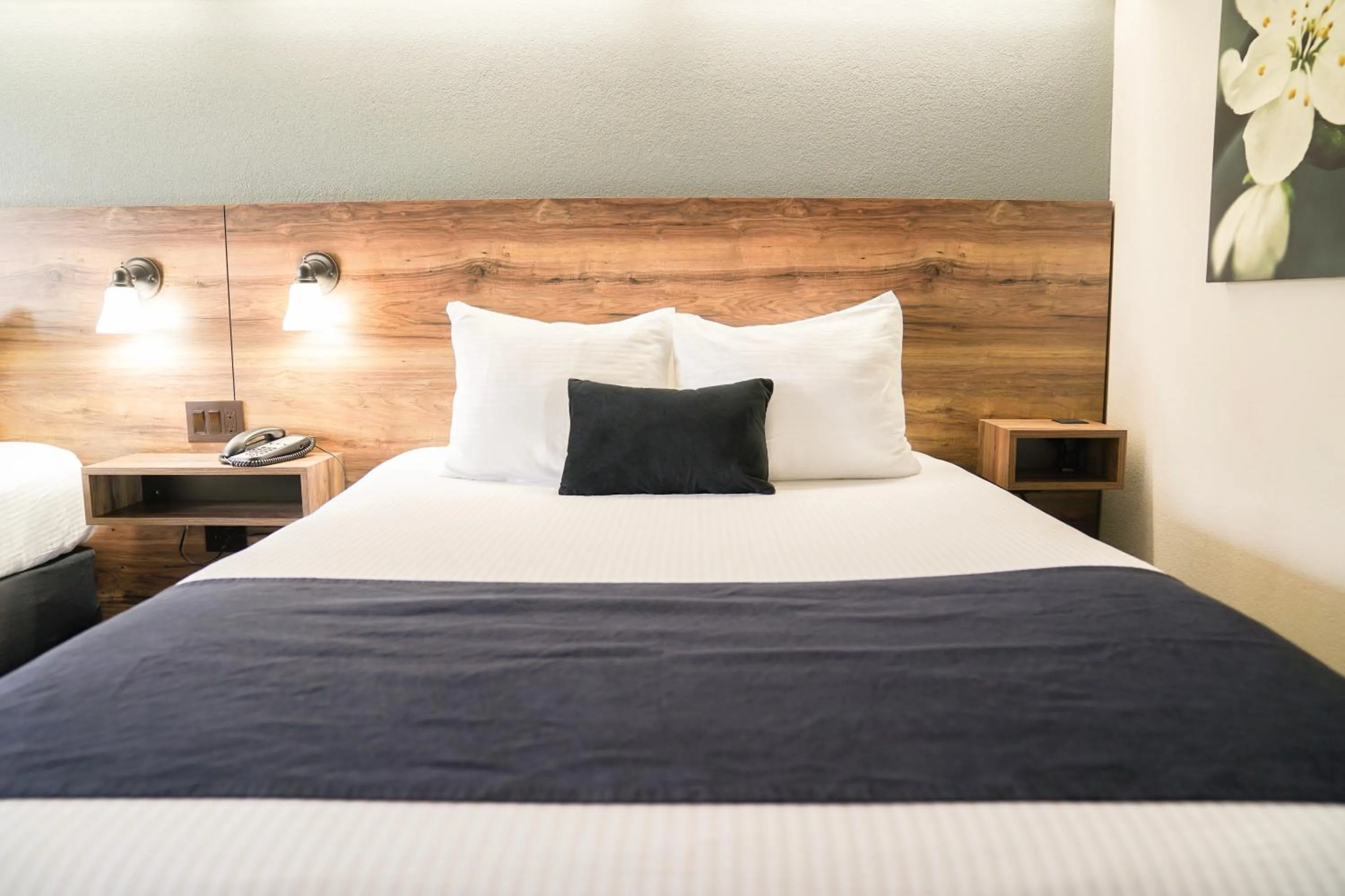 Bedroom, Bed in Hotel Ruby Sandpoint