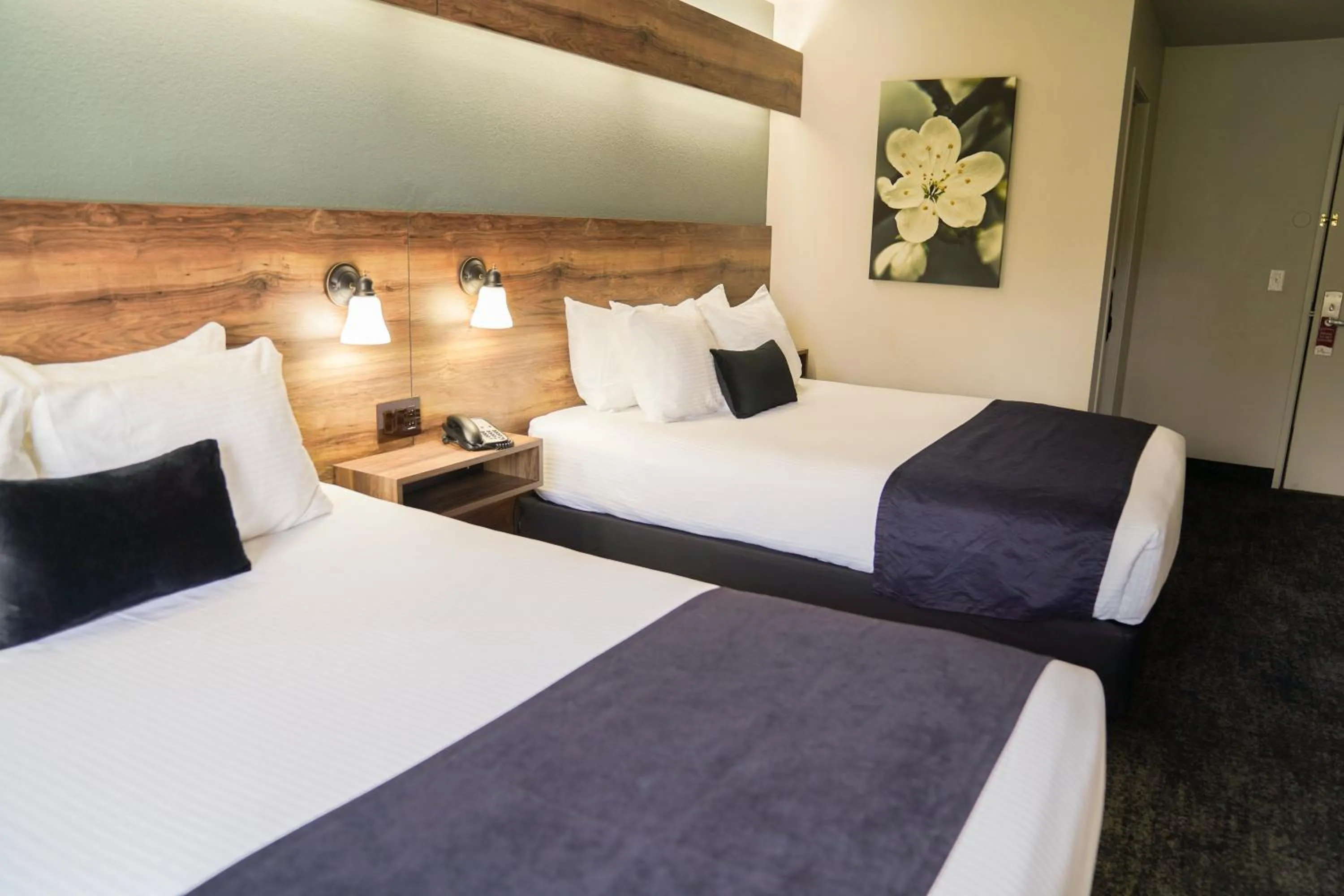 Bedroom, Bed in Hotel Ruby Sandpoint