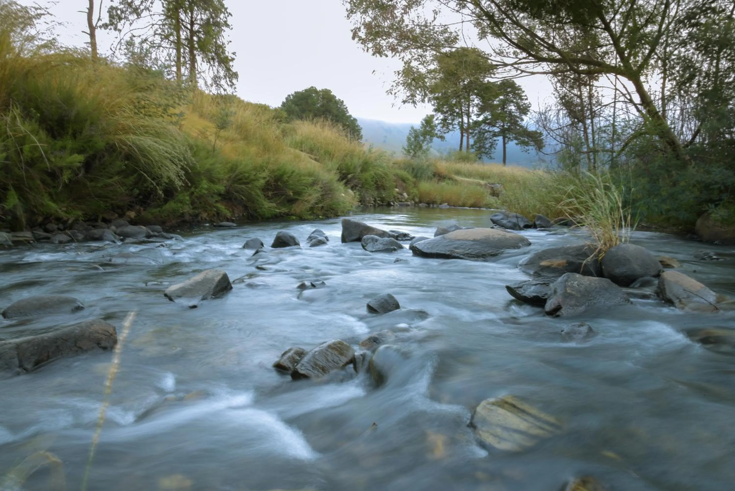 River view in Stonecutters Lodge