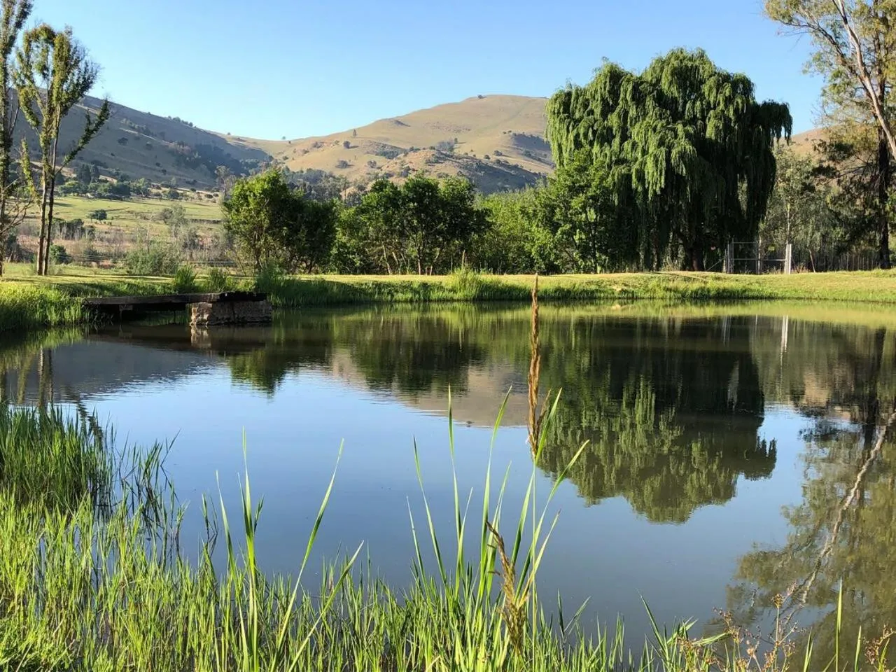 Lake view in Stonecutters Lodge