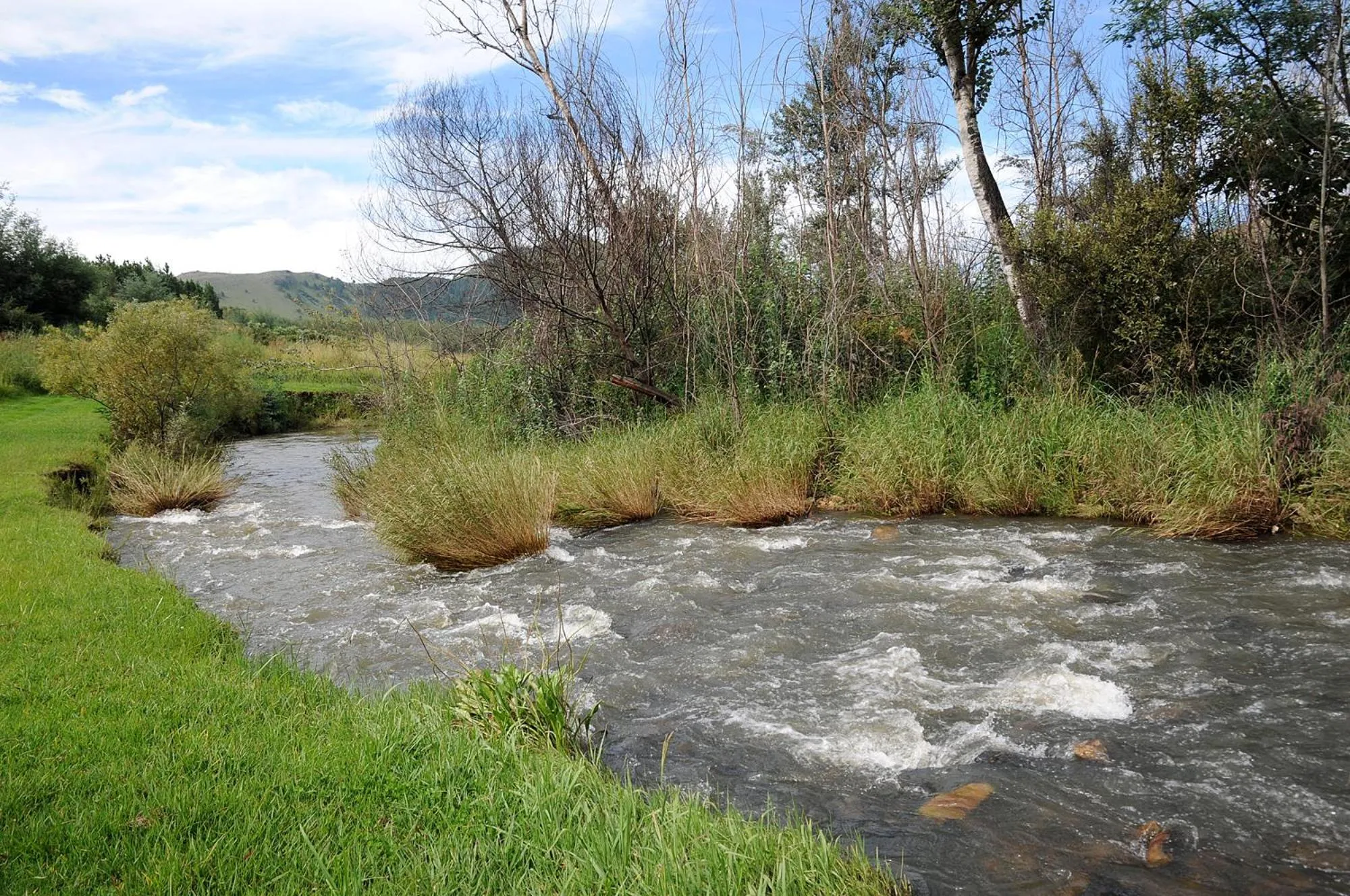 River view in Stonecutters Lodge