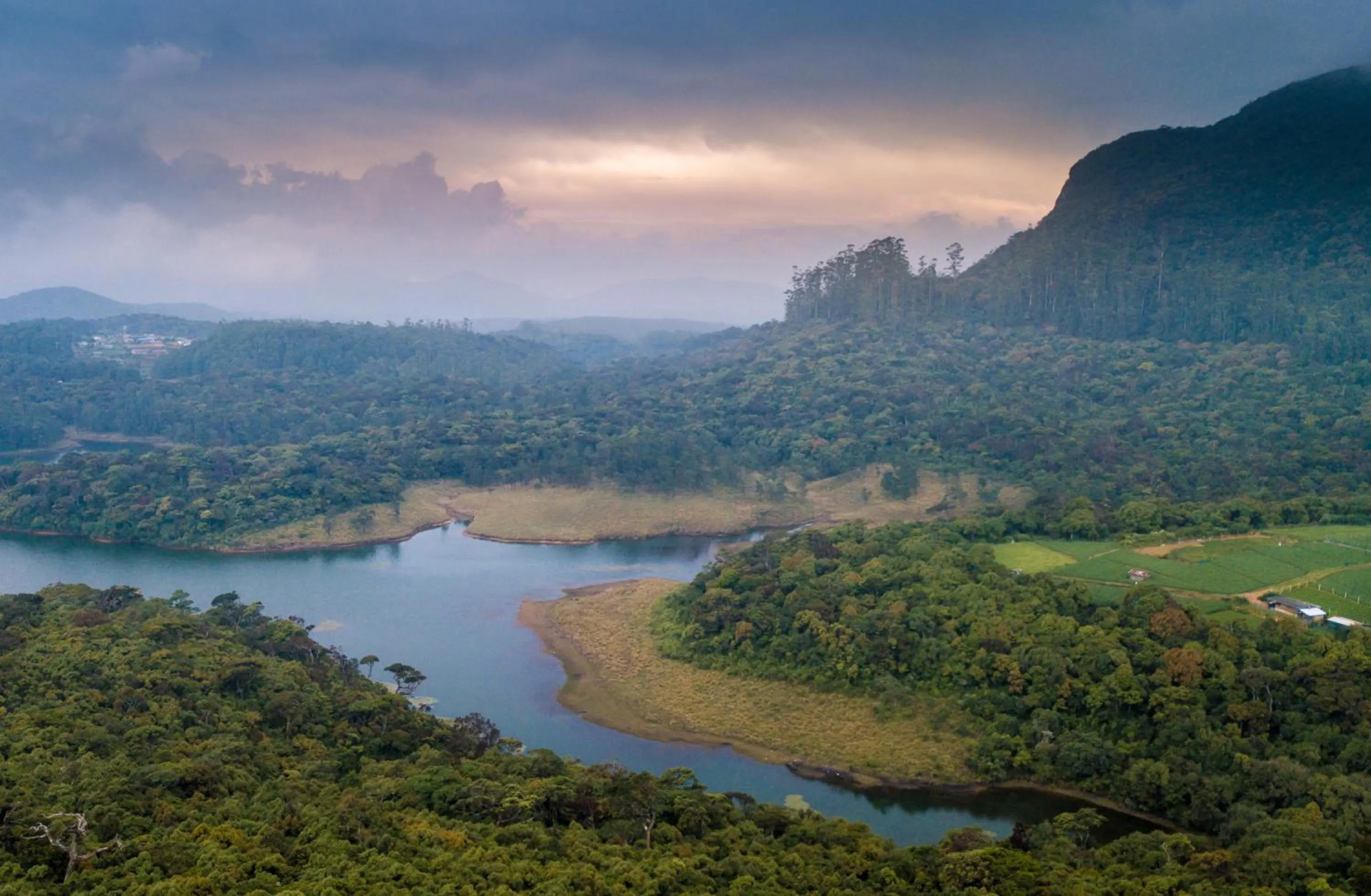 Property building in The Forest and Lake by Schofieldshire