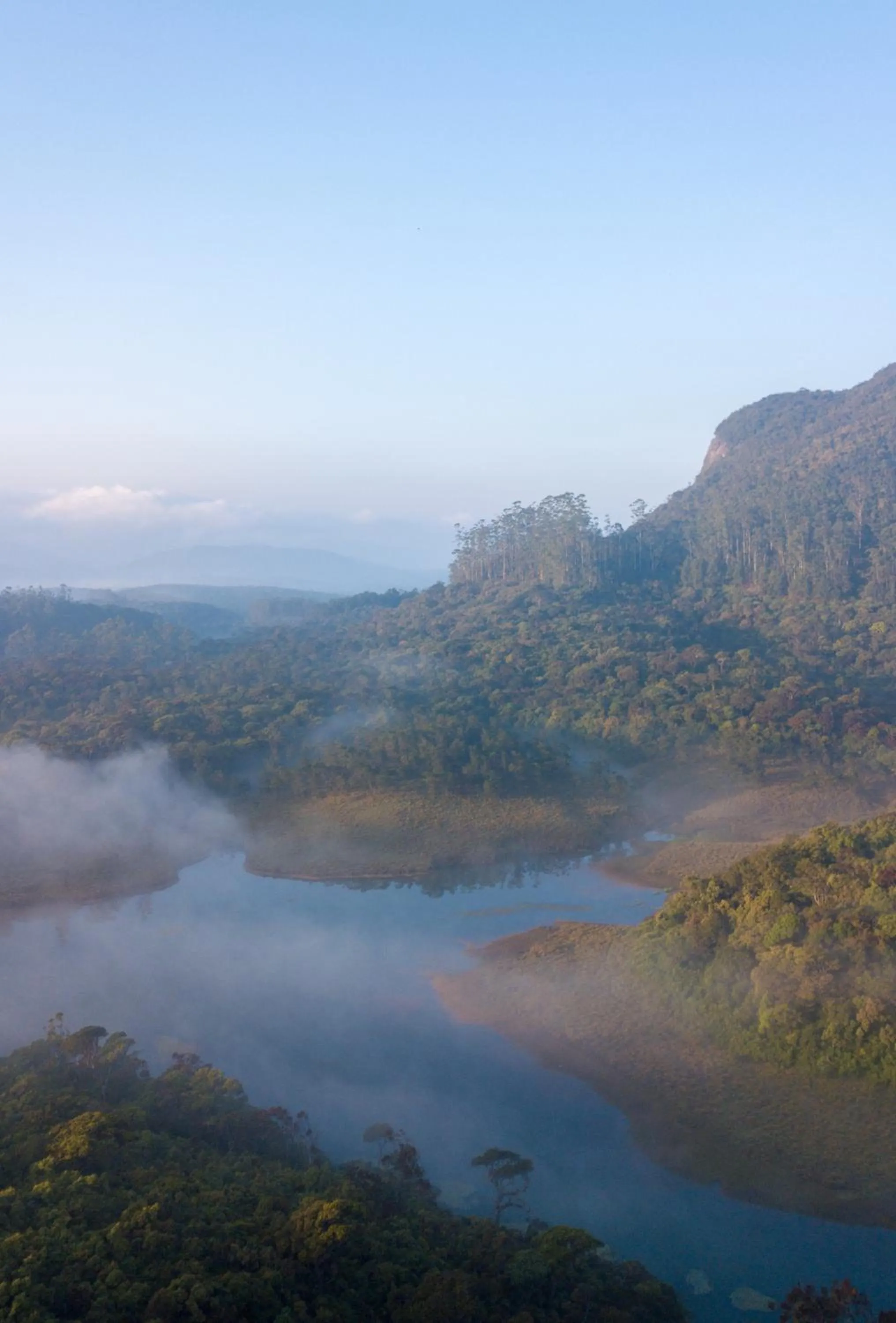 Property building in The Forest and Lake by Schofieldshire