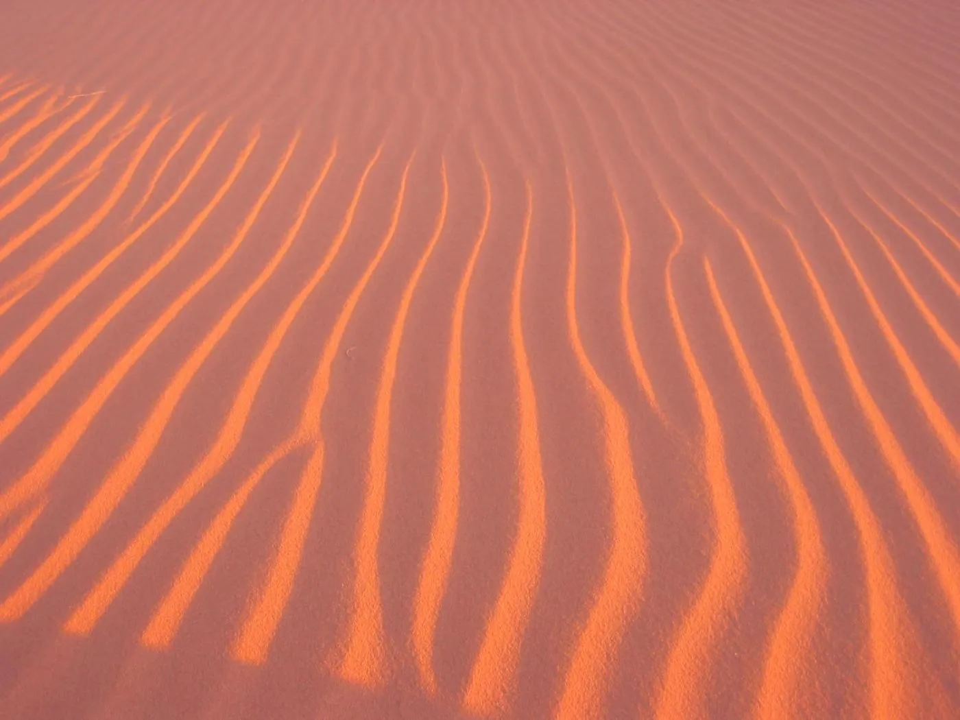 Off site in Mazayen Rum Camp