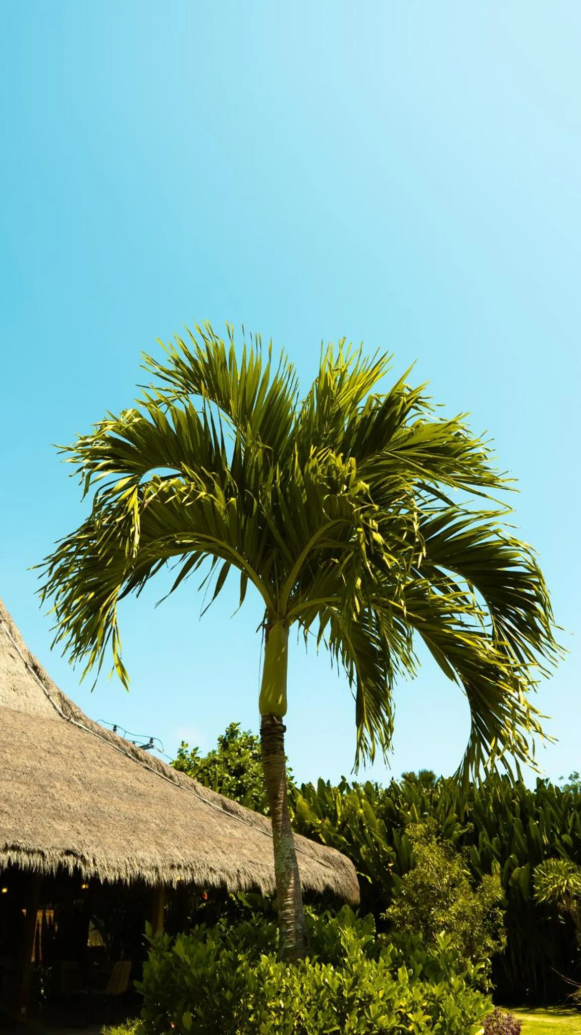 Property building in Green Escape Eco Resort