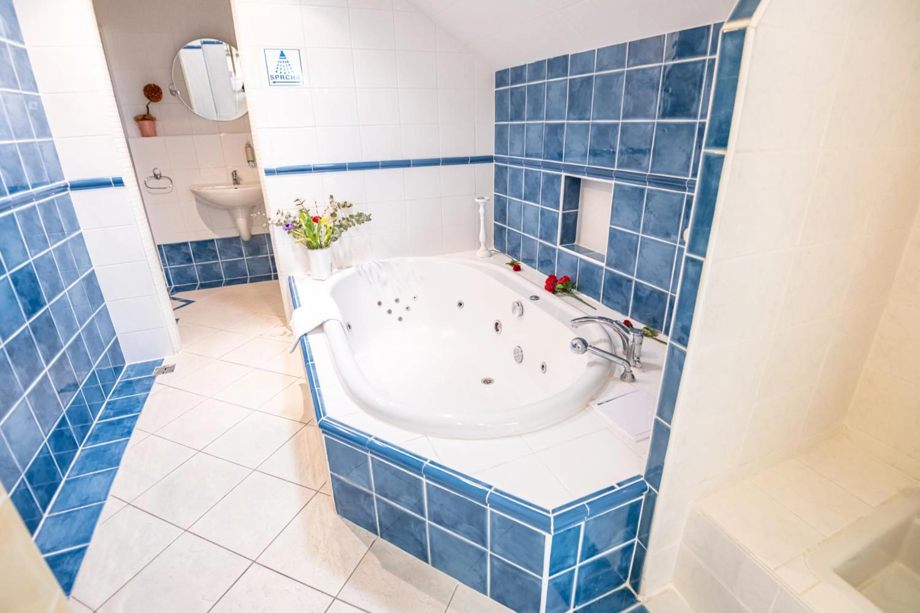 Hot Tub in Šumava Inn