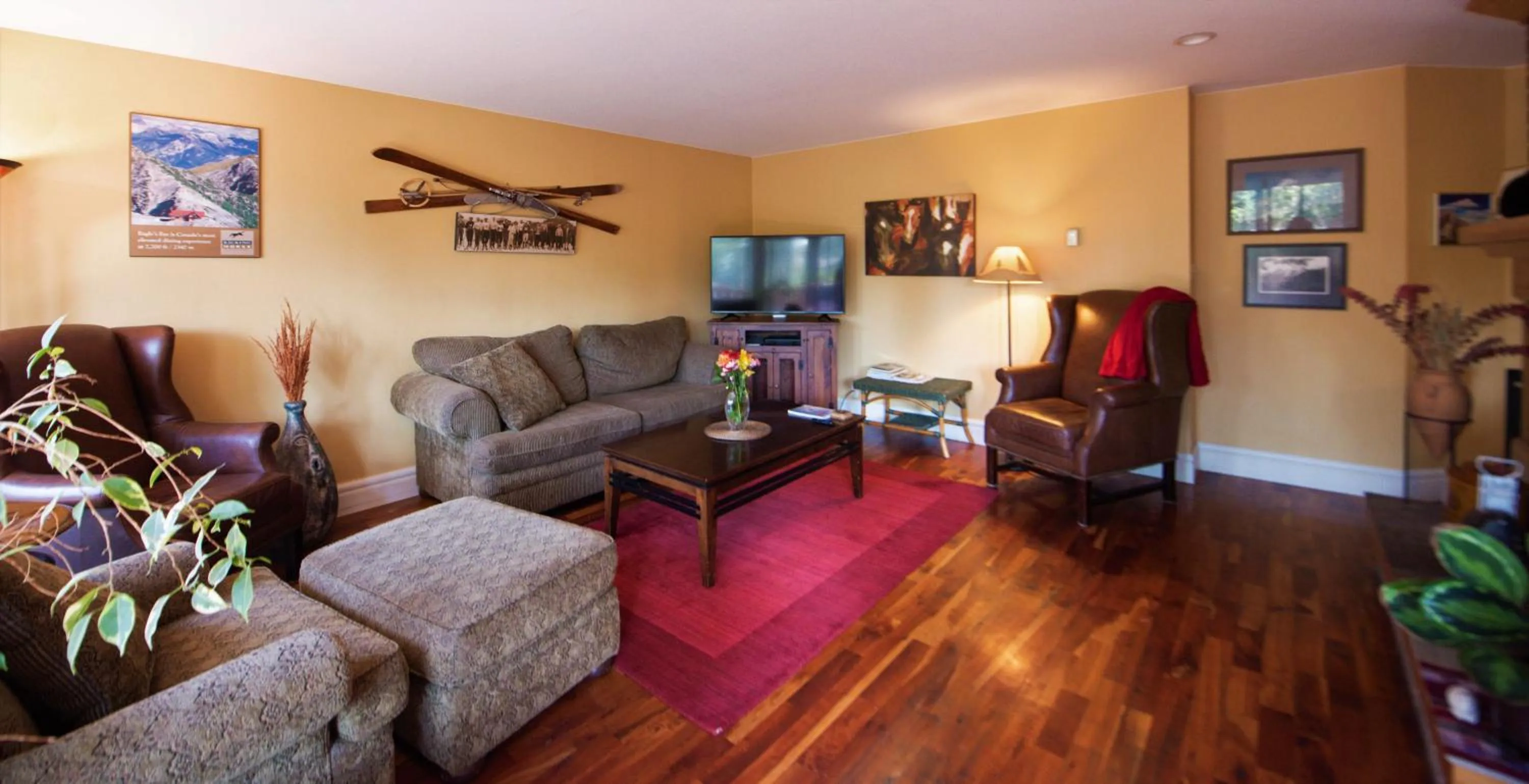 TV and multimedia in Auberge Kicking Horse Guest House