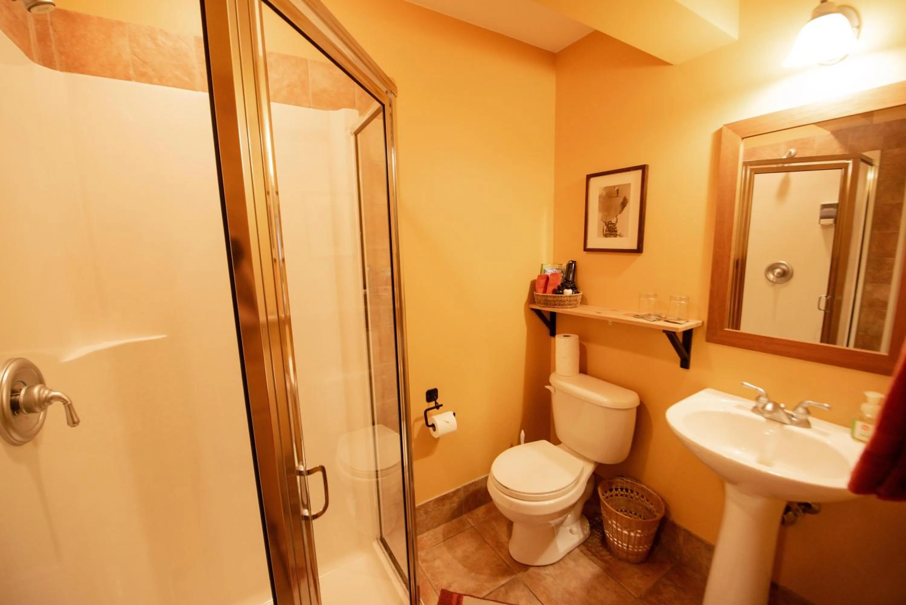 Shower in Auberge Kicking Horse Guest House