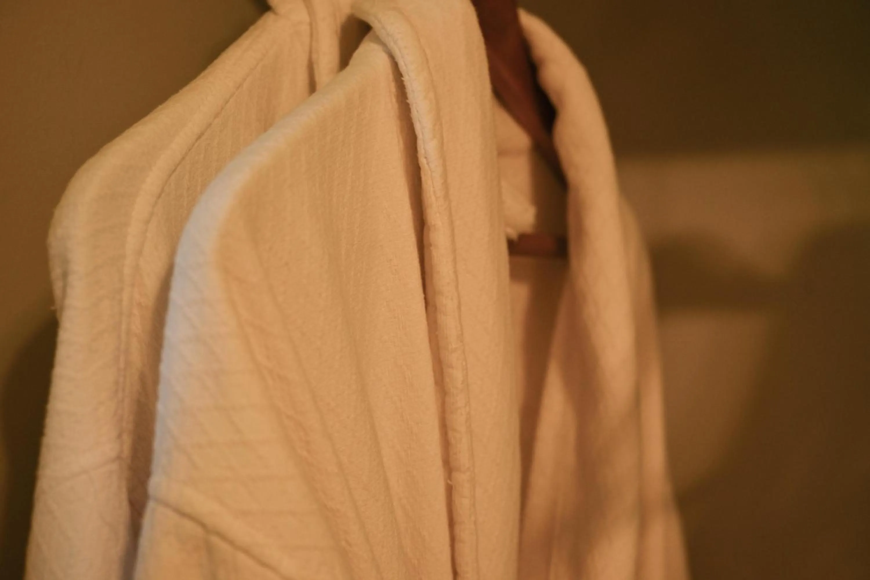 wardrobe in Auberge Kicking Horse Guest House