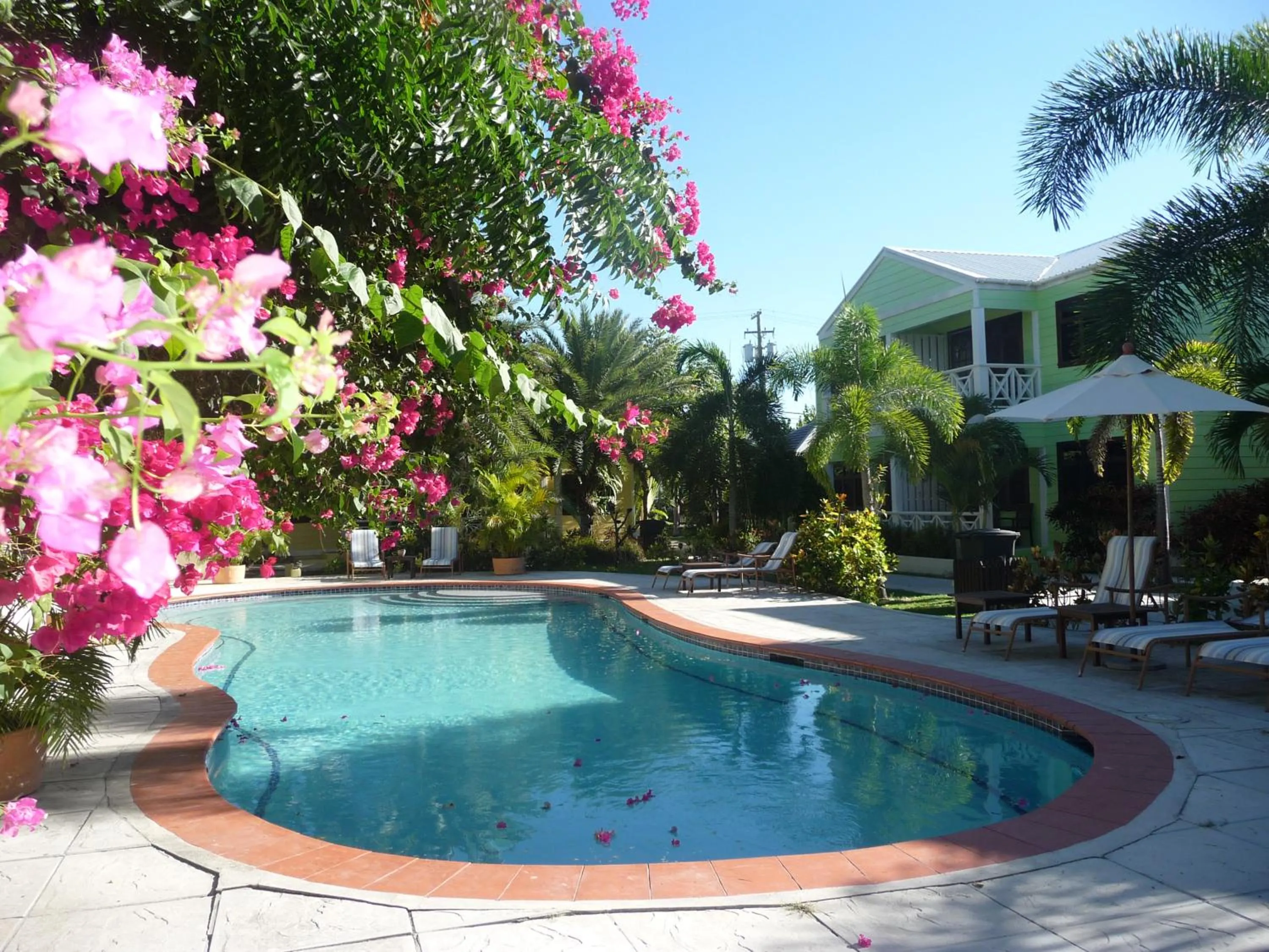 Garden in Buccaneer Beach Club