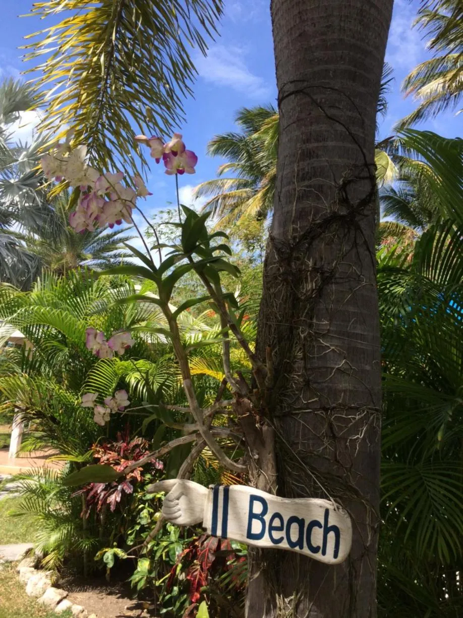 View (from property/room) in Buccaneer Beach Club
