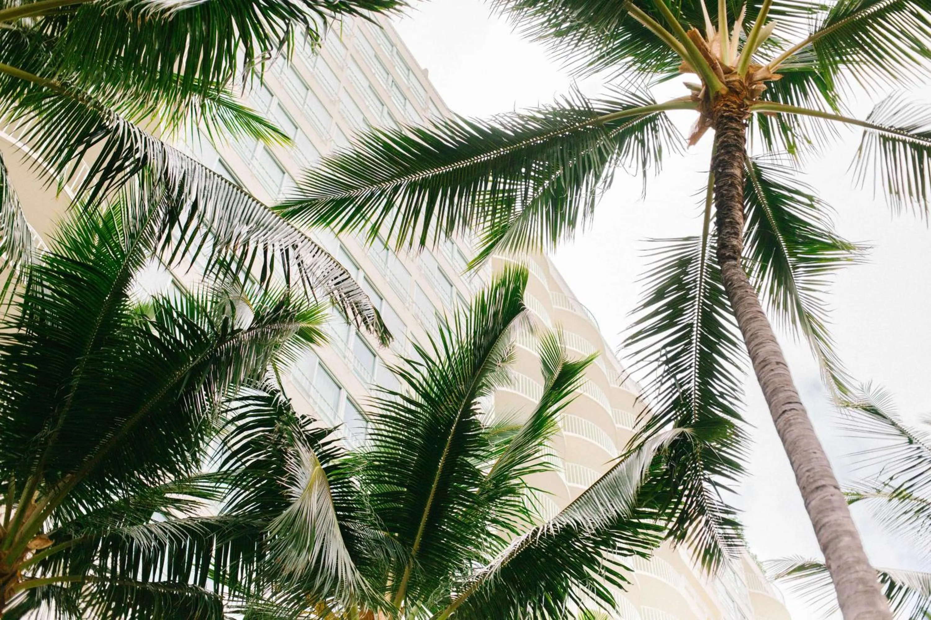 Property building in Hilton Vacation Club The Modern Honolulu