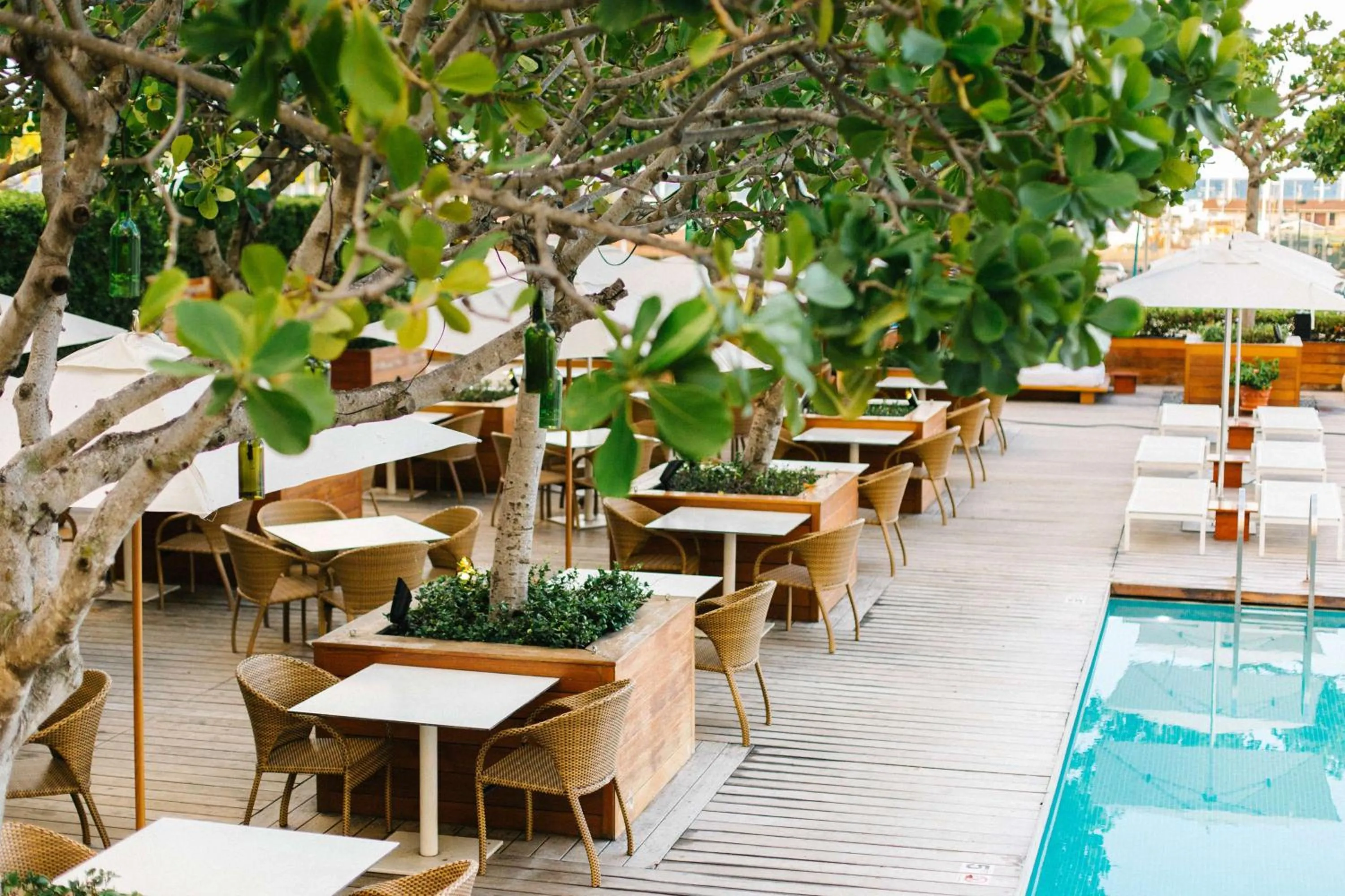 Pool view in Hilton Vacation Club The Modern Honolulu