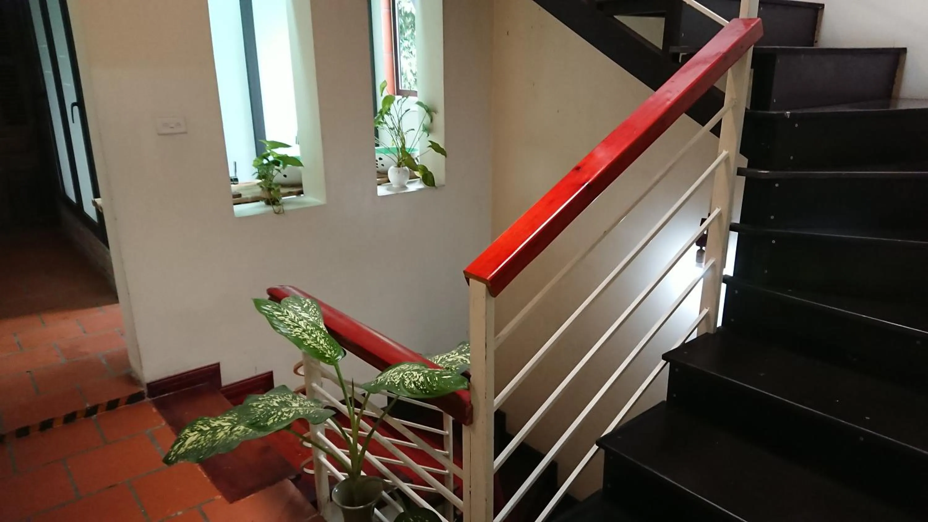 Patio in Halo Bay Homestay